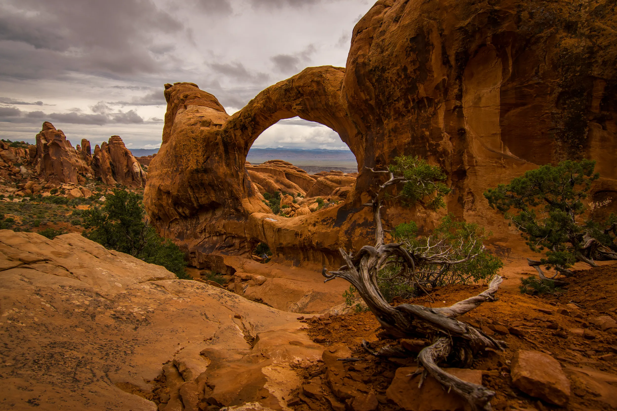 Devils Garden Primitive Loop