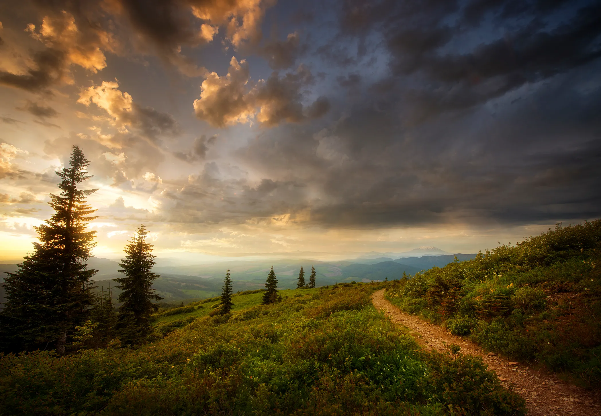 Silver Star Mountain & Ed's Trail Loop