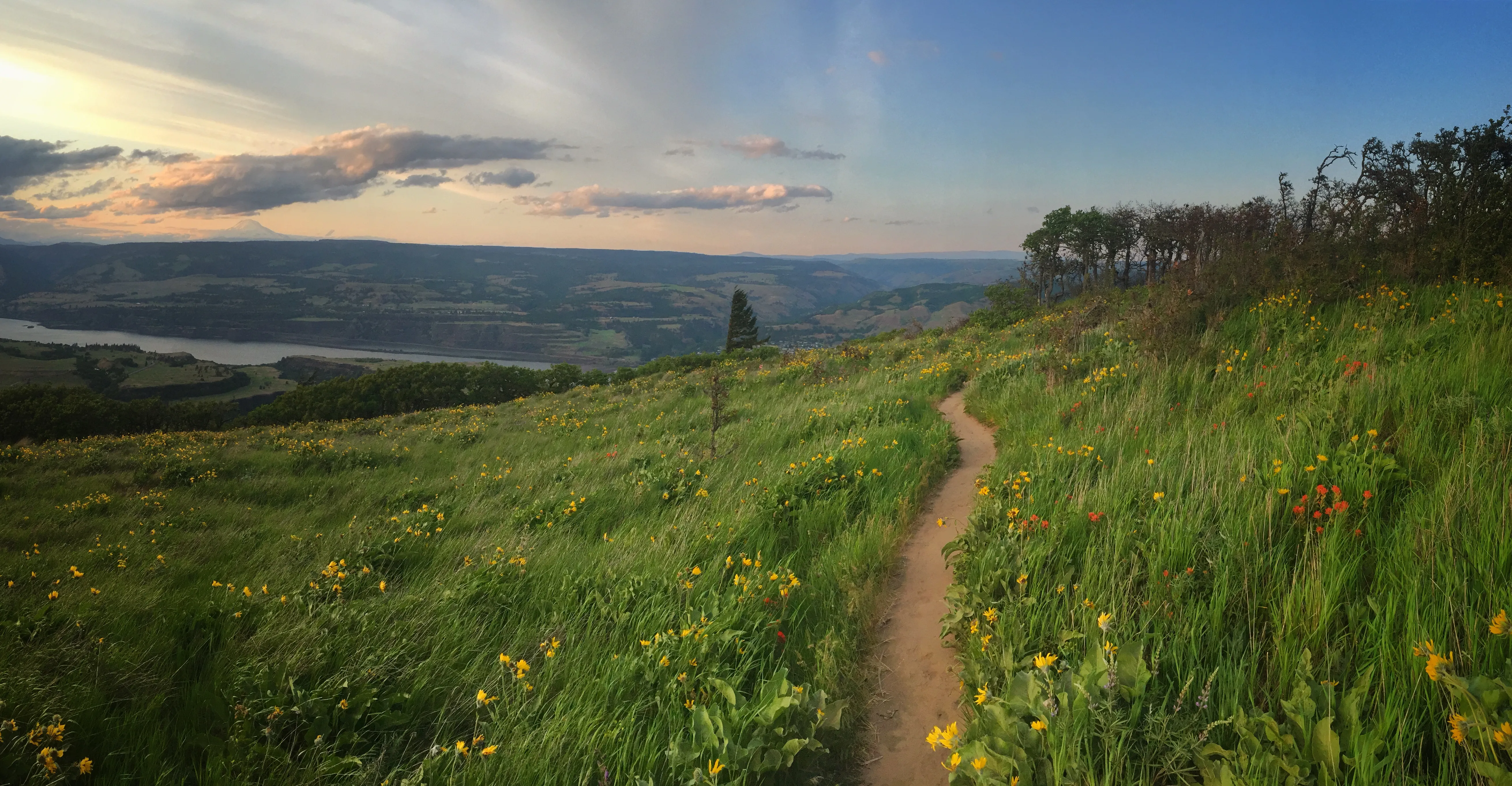 McCall Point