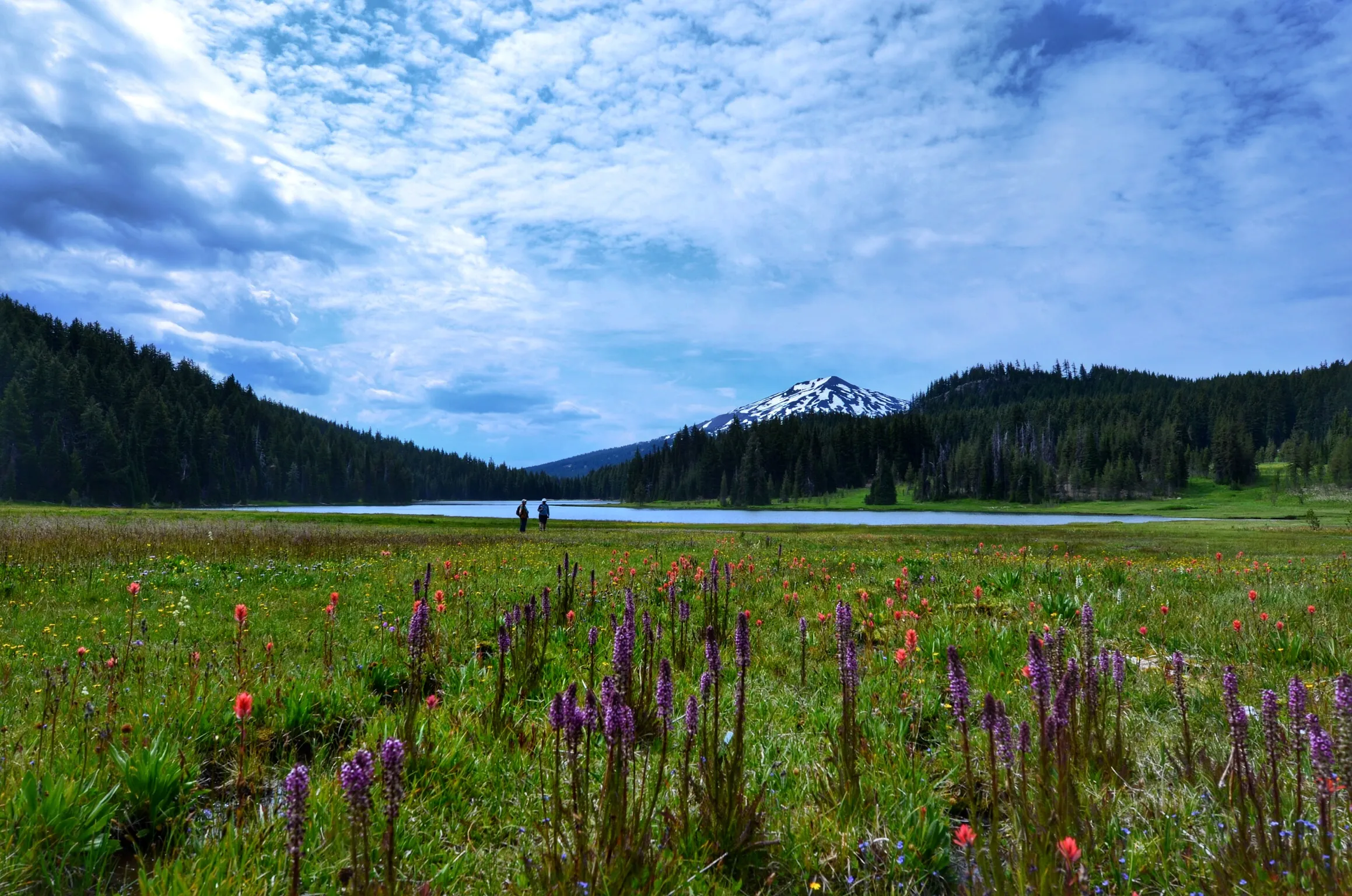 Todd Lake Campground via Todd Lake Trailhead