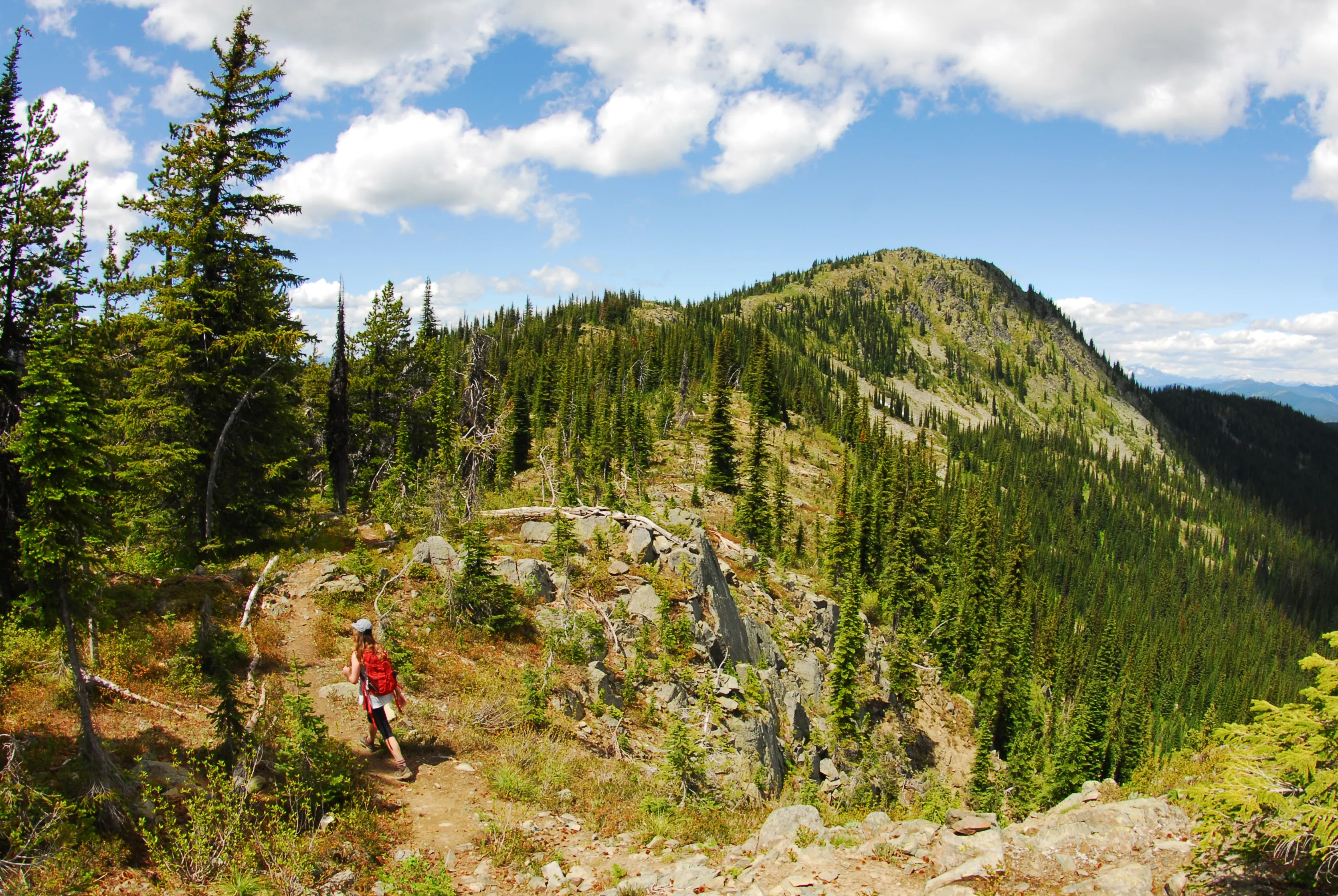 Summit Toad Mountain