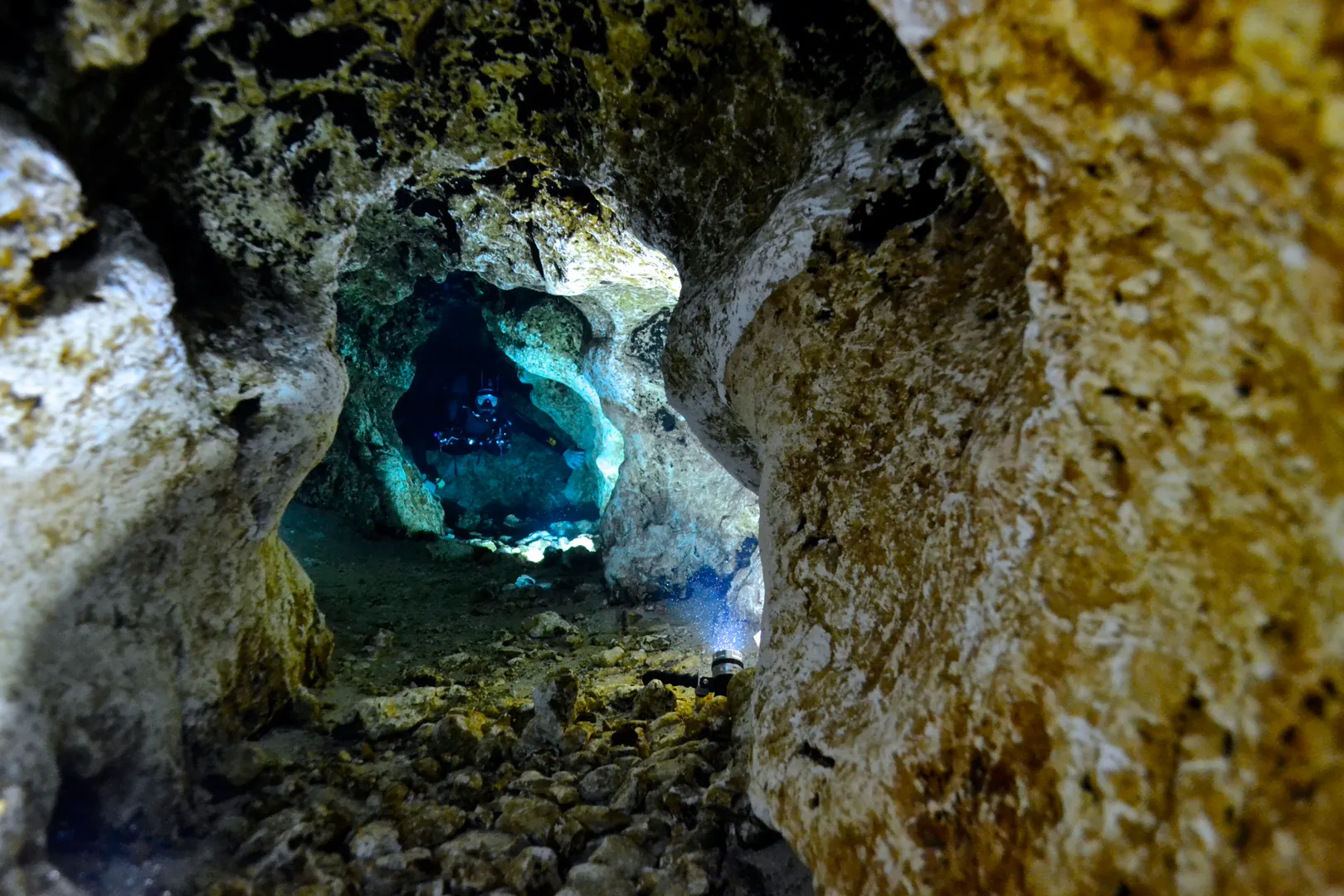 Dive Devil's Spring System: Eye and Ear