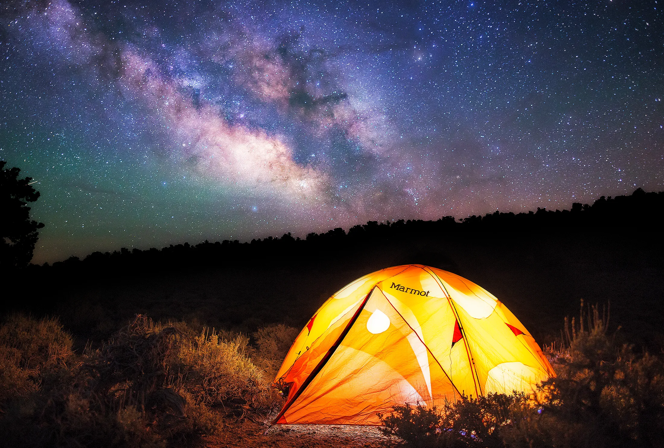 Camp in Ancient Bristlecone Pine Forest