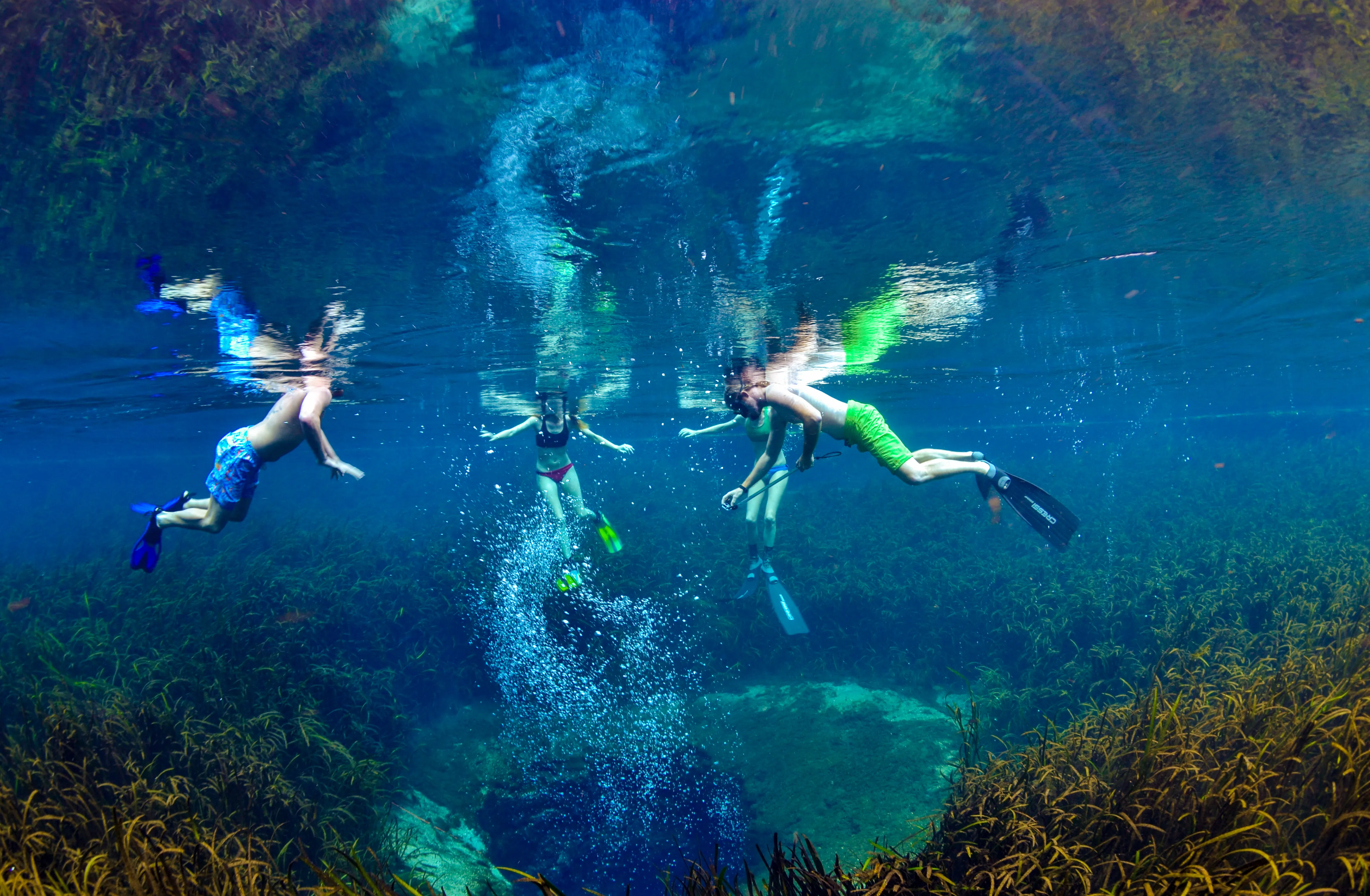 Snorkel at Ichetucknee Blue Hole