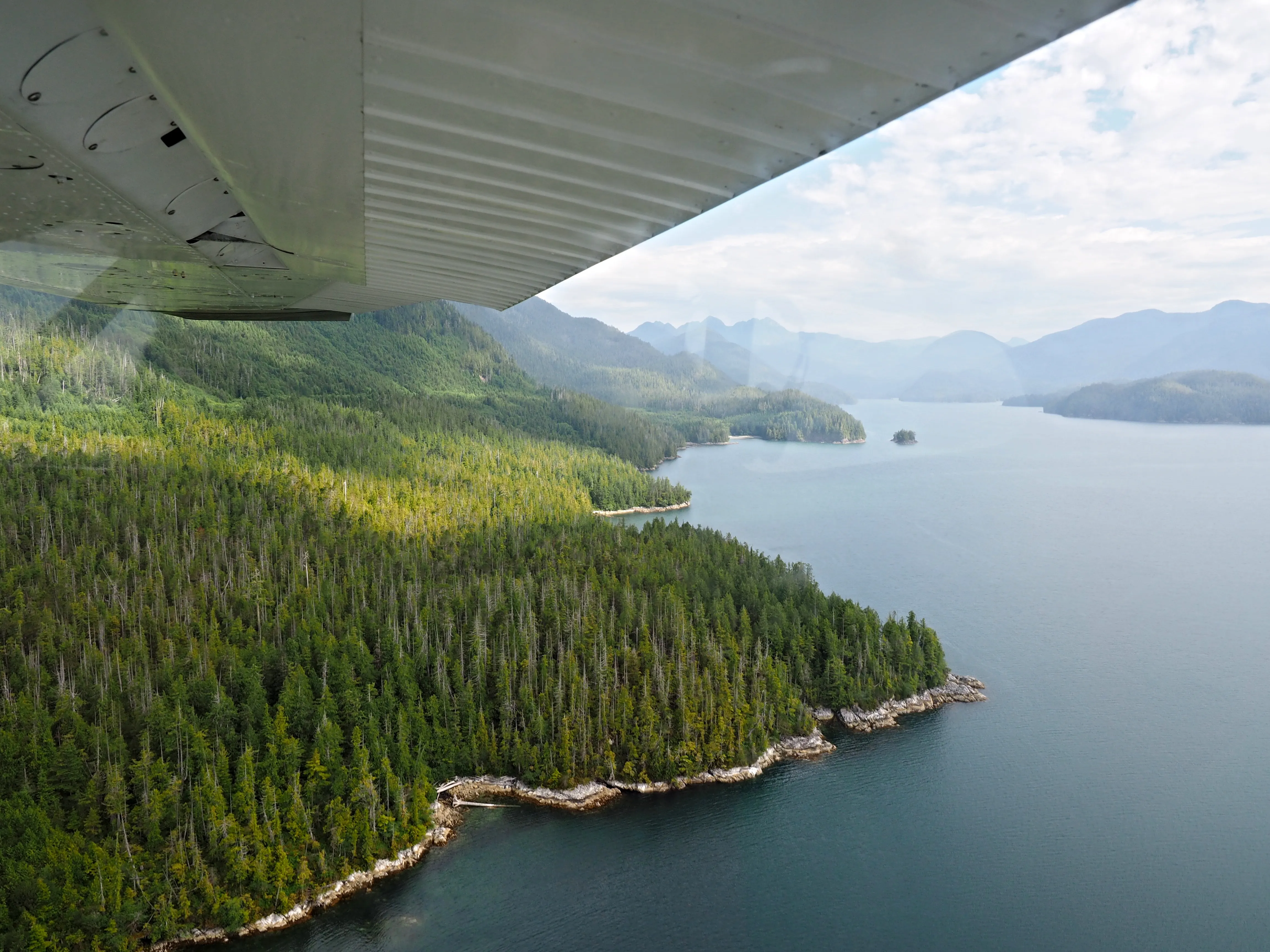 Explore Hot Springs Cove