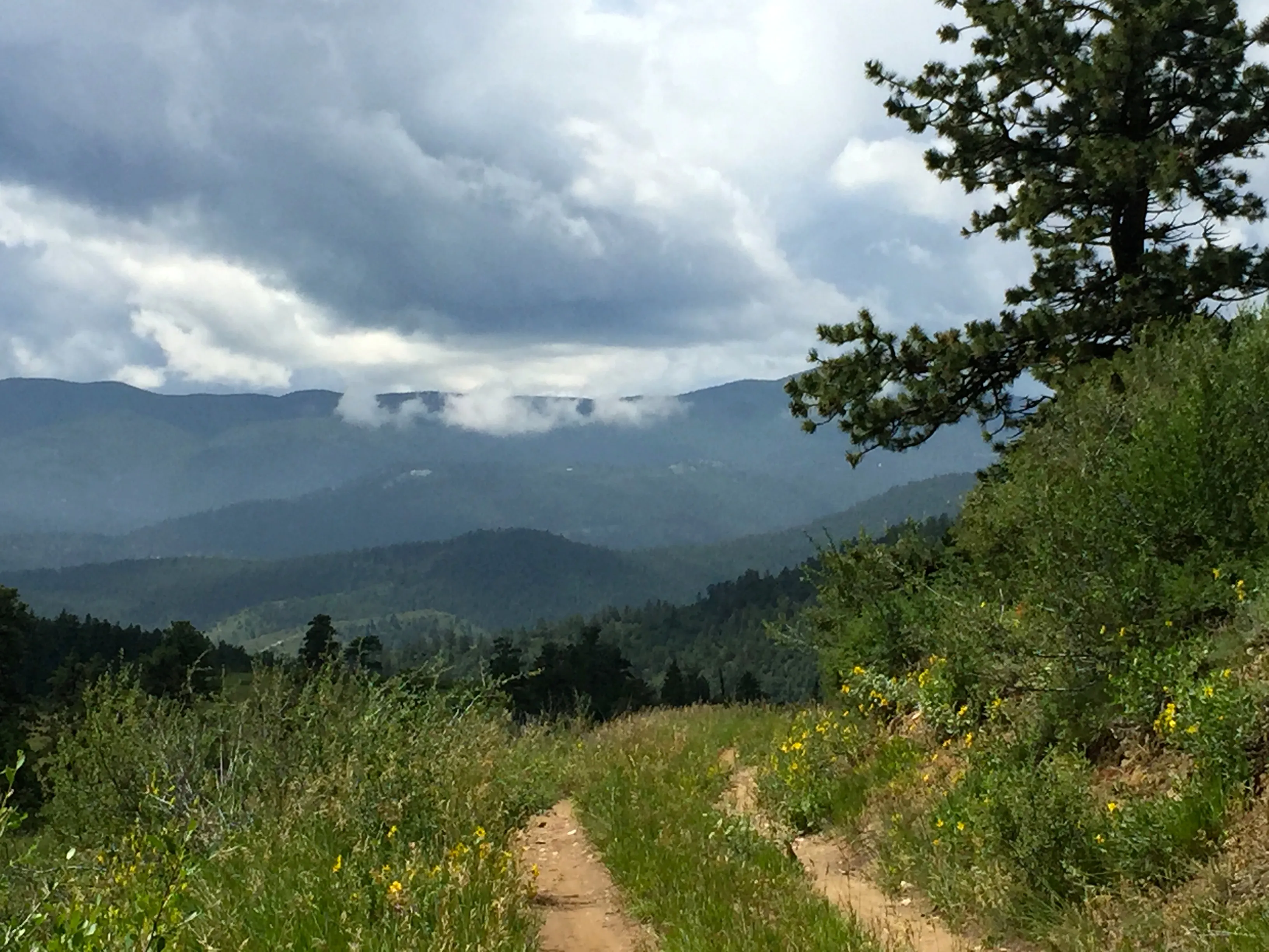 Elk Range Trail