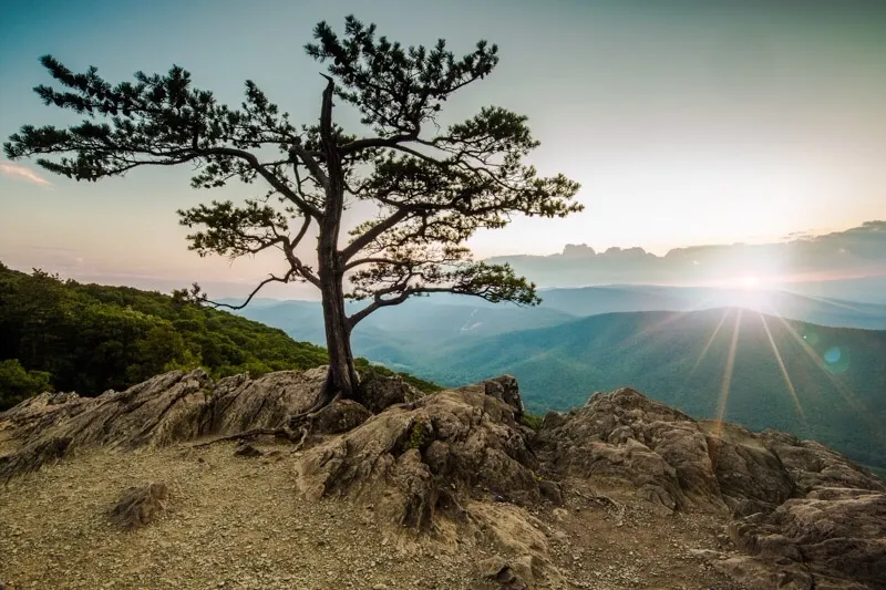 Ravens Roost Overlook