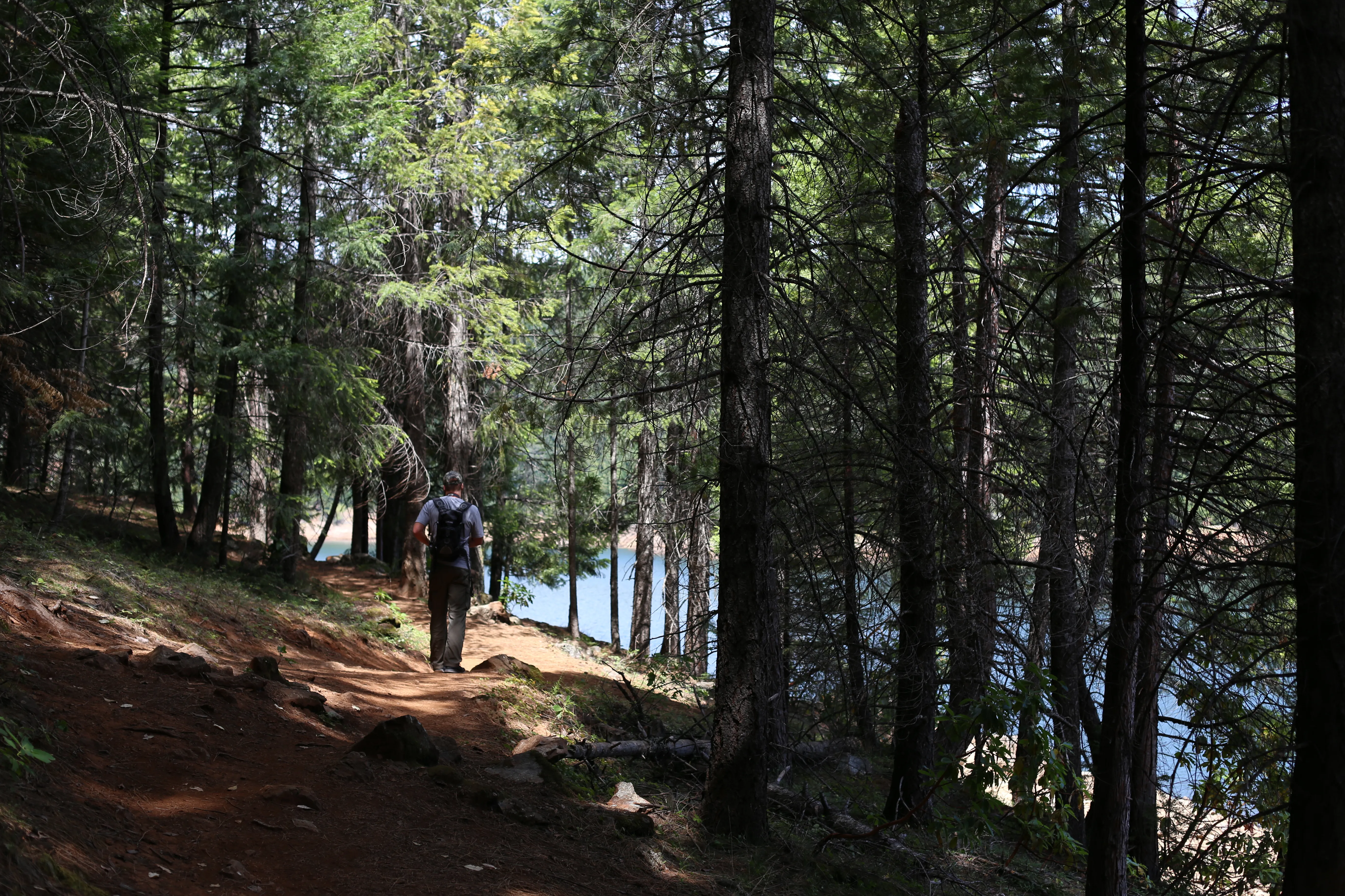 Explore Sugar Pine Reservoir