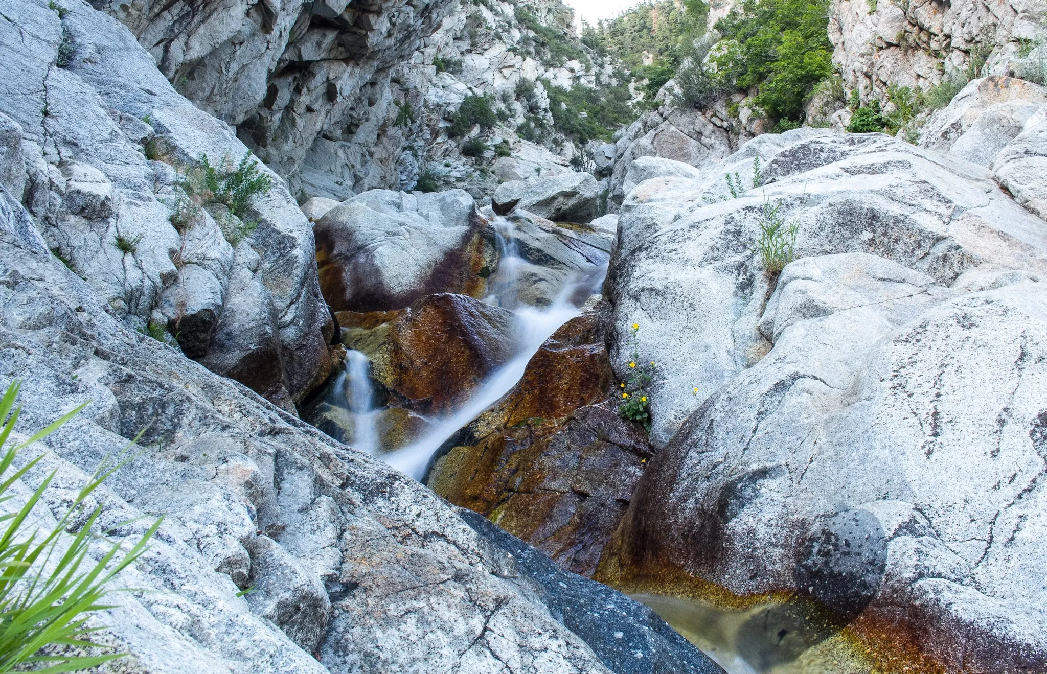 Lisa Falls