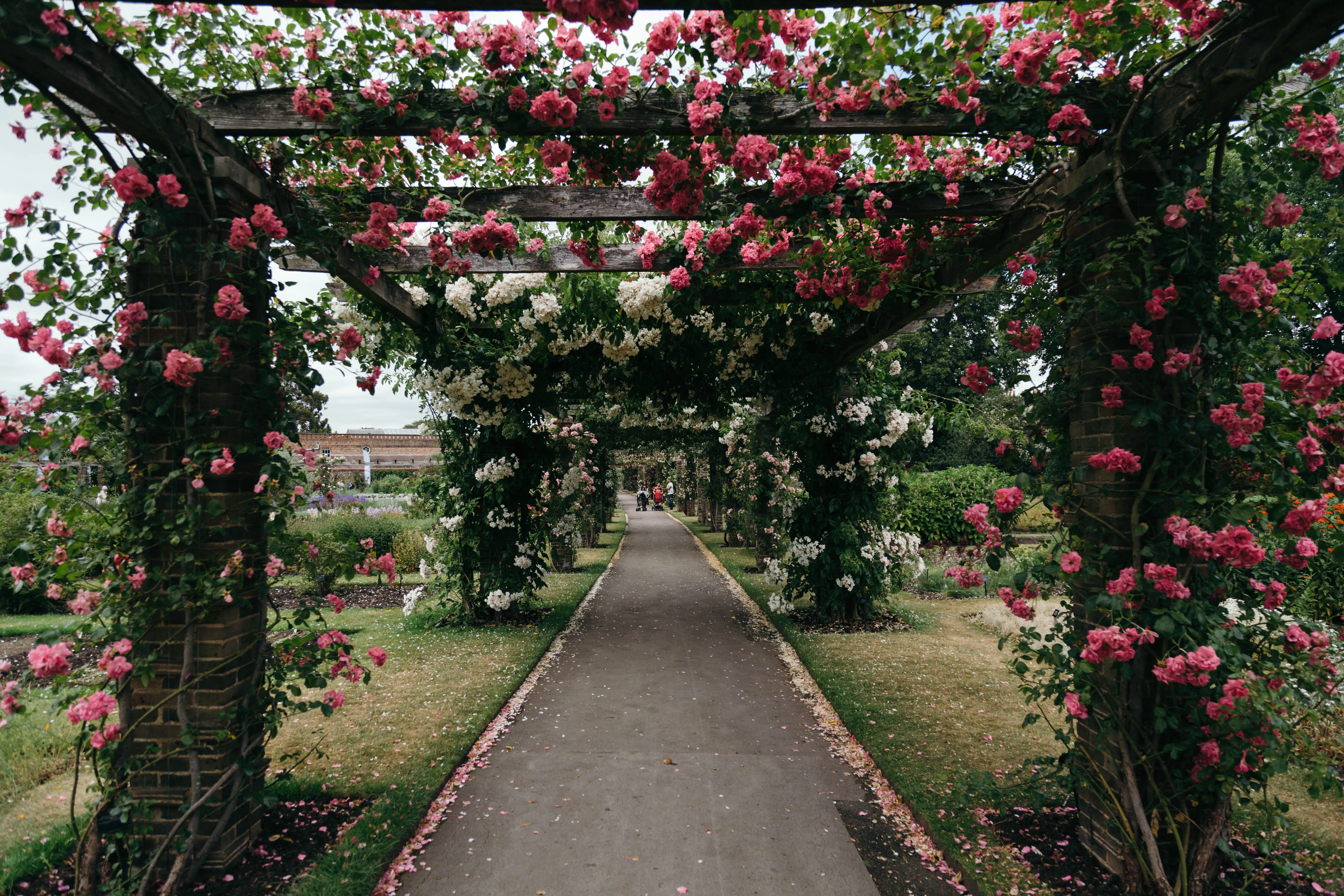 Royal Botanic Gardens, Kew