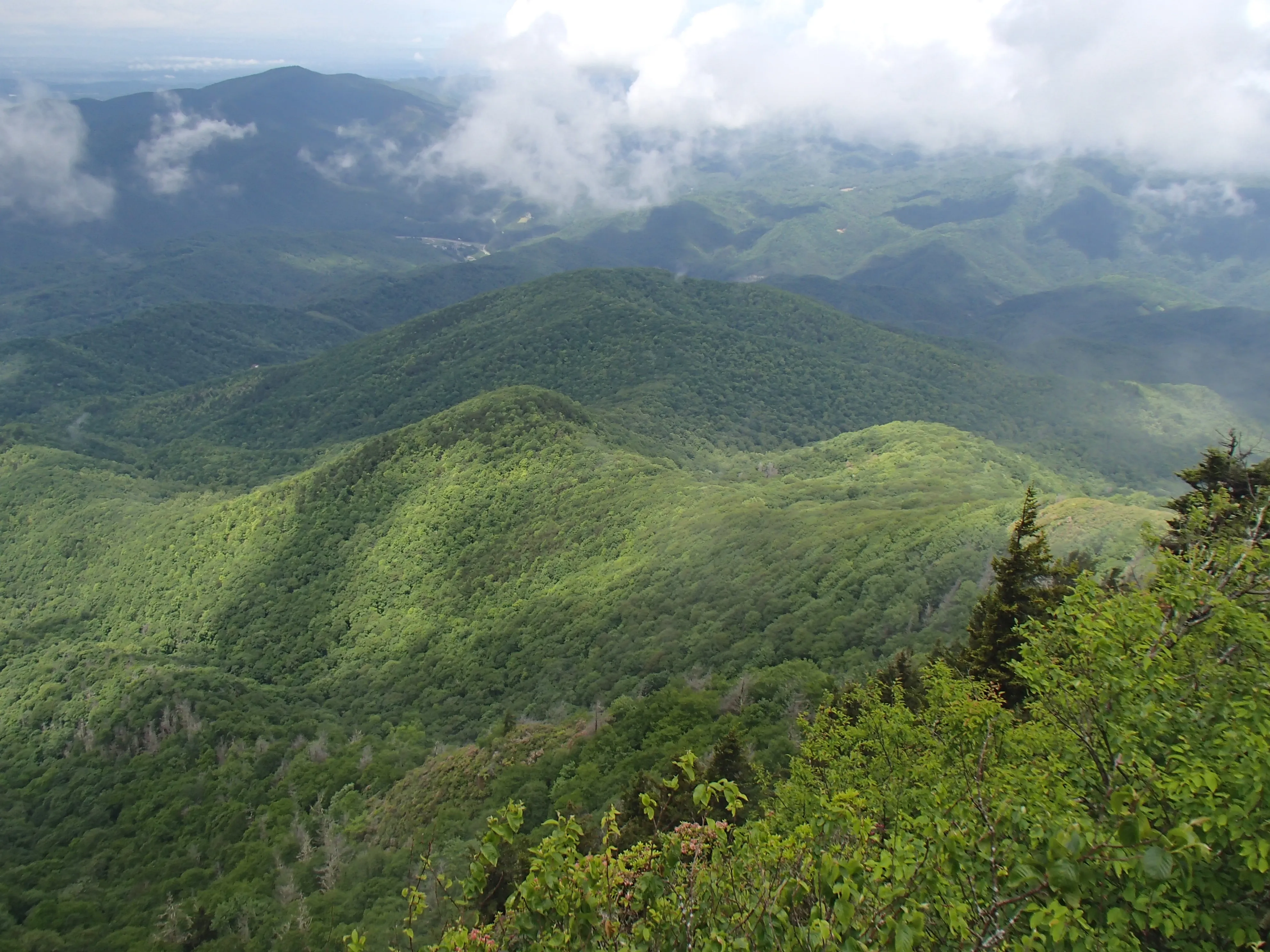Mount Cammerer Lookout Tower