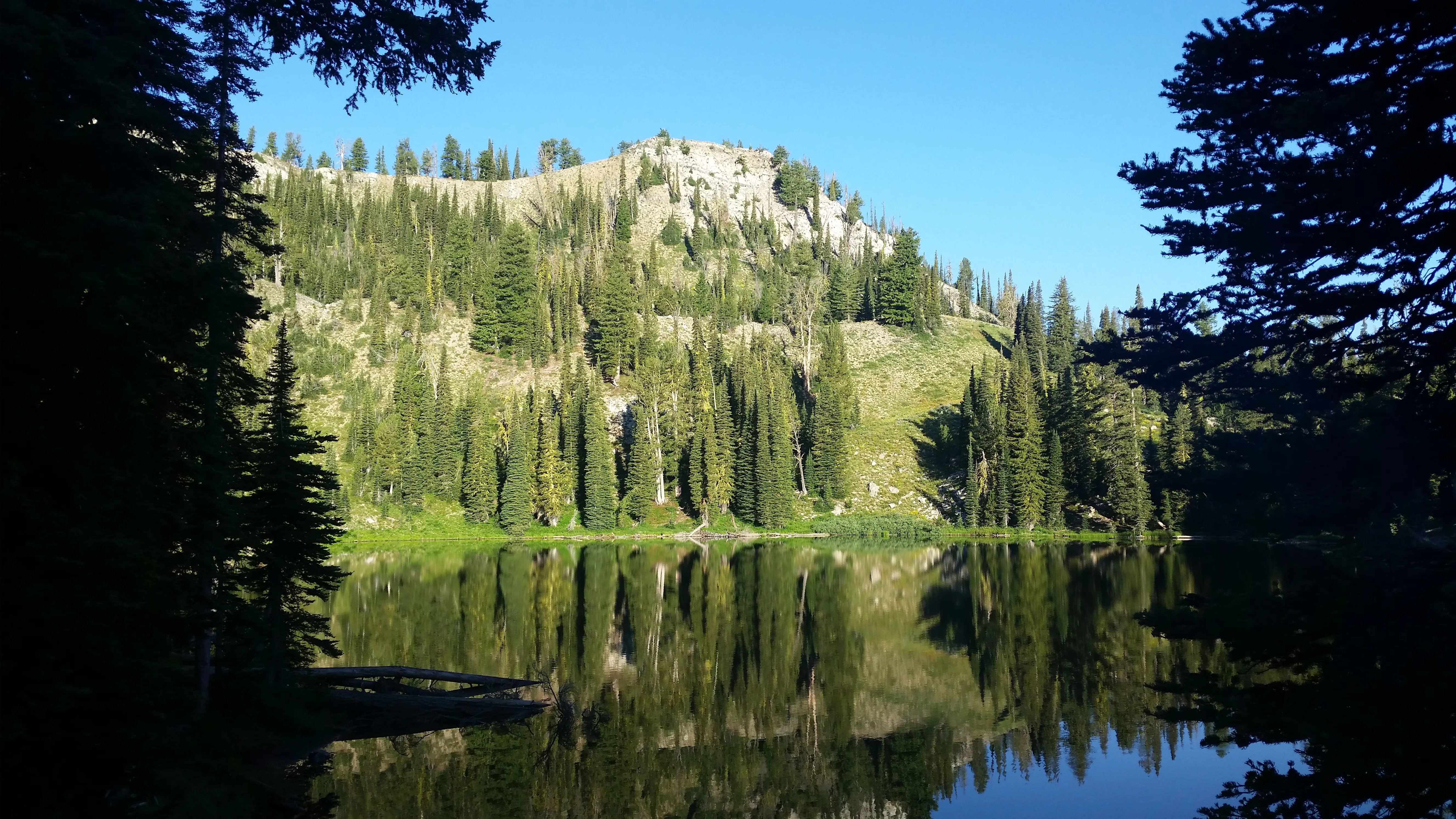 Jennie Lake Trail