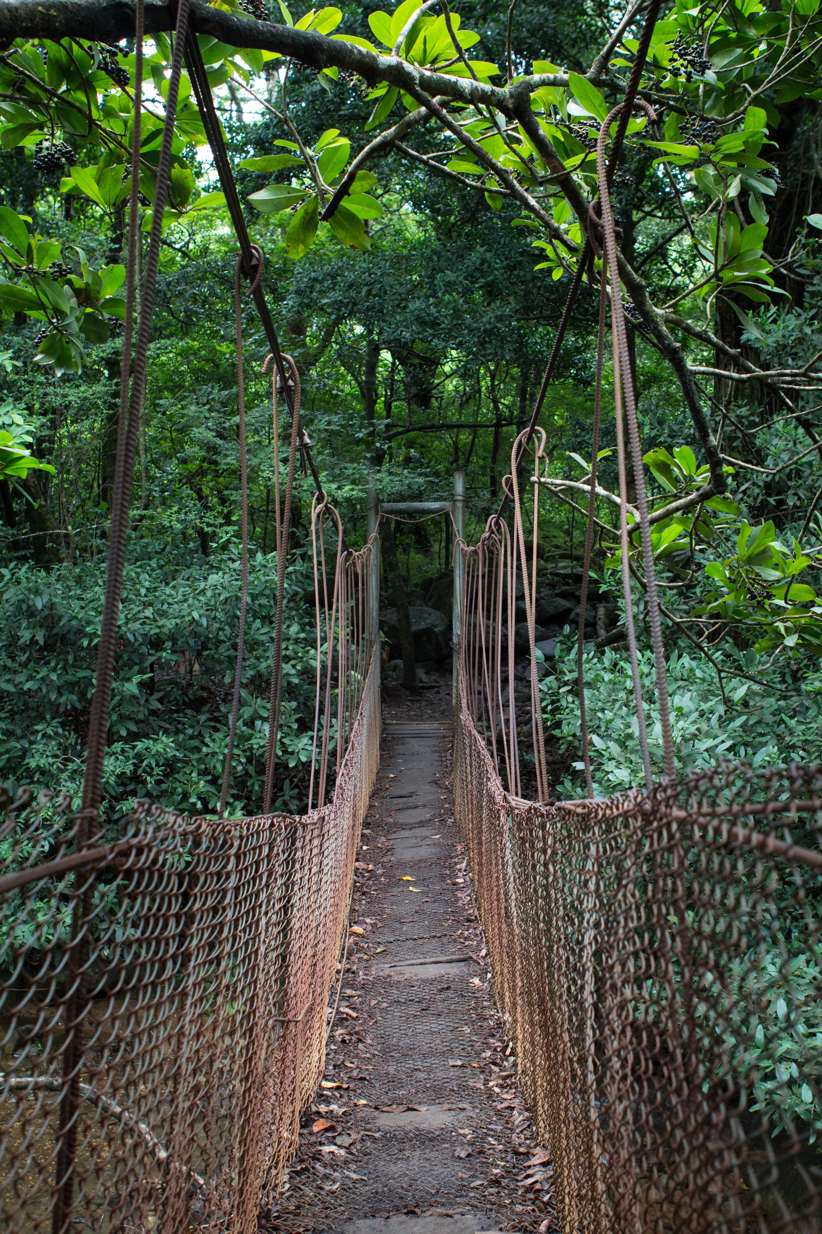 Las Pailas Trail Loop