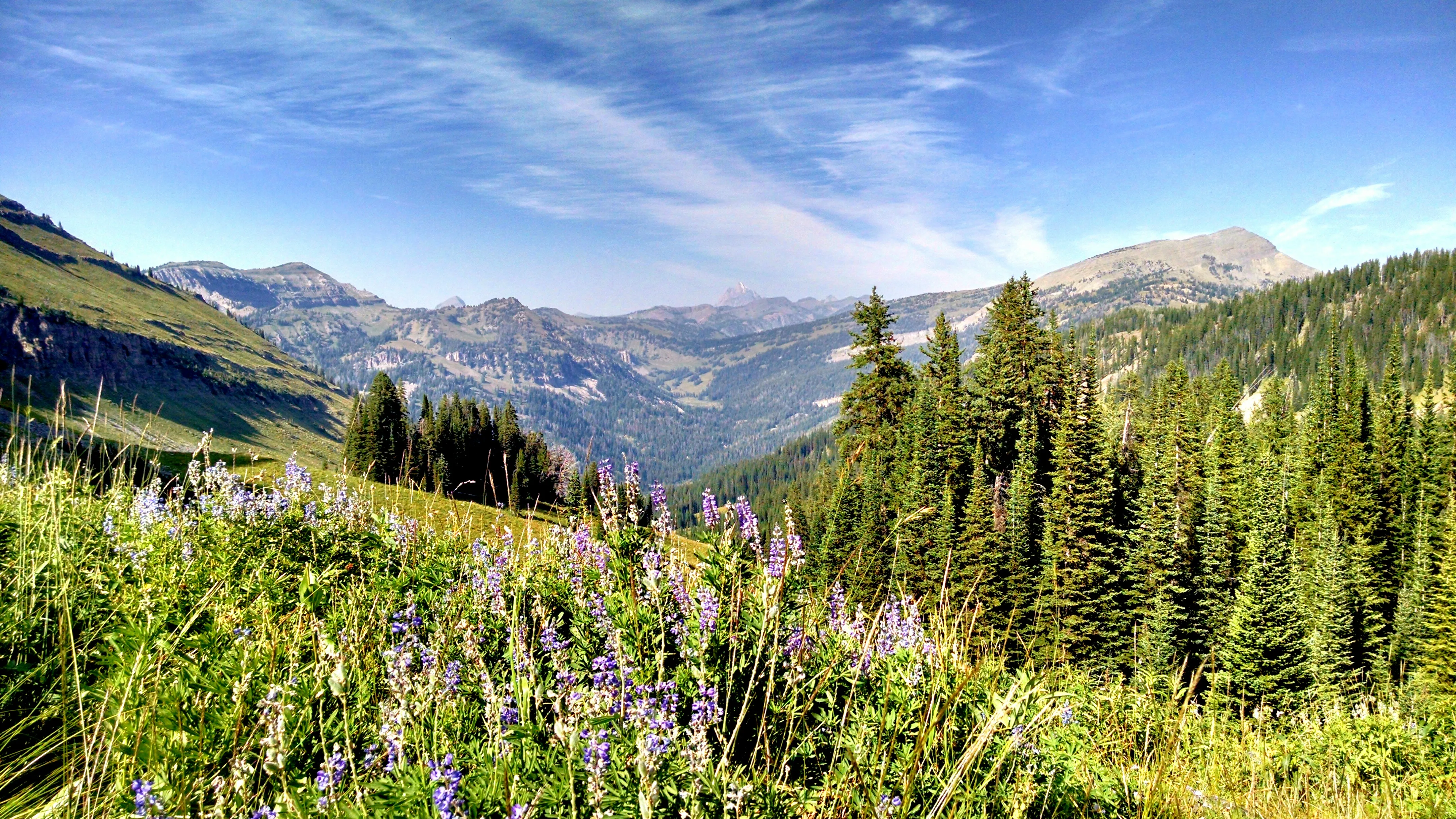 Hike Coal Creek Trail