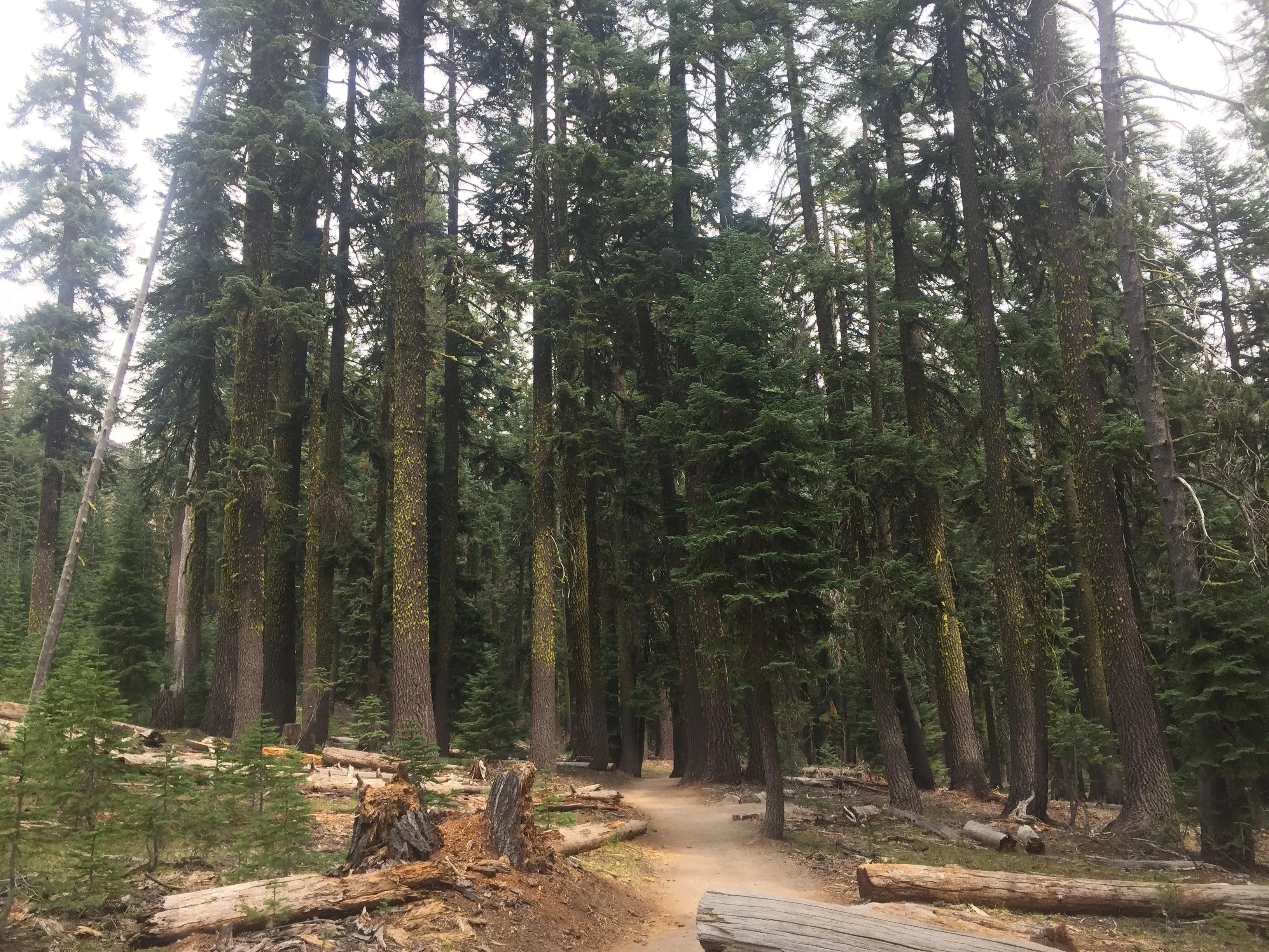 Hike to Plaikni Falls