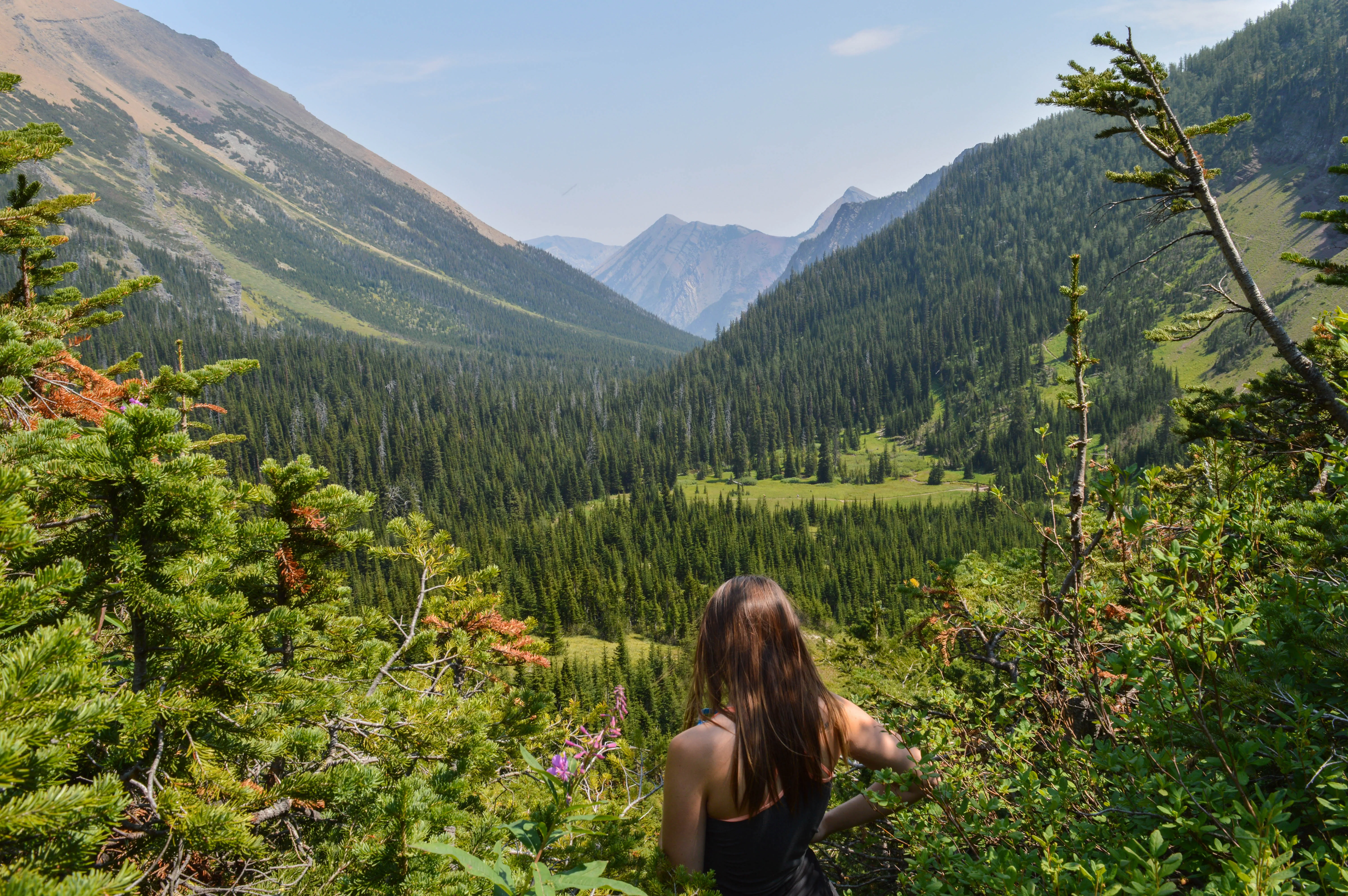 Hike Mount Lineham