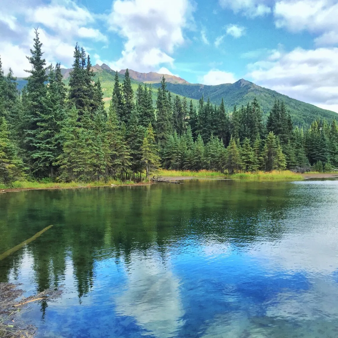 Horseshoe Lake Loop
