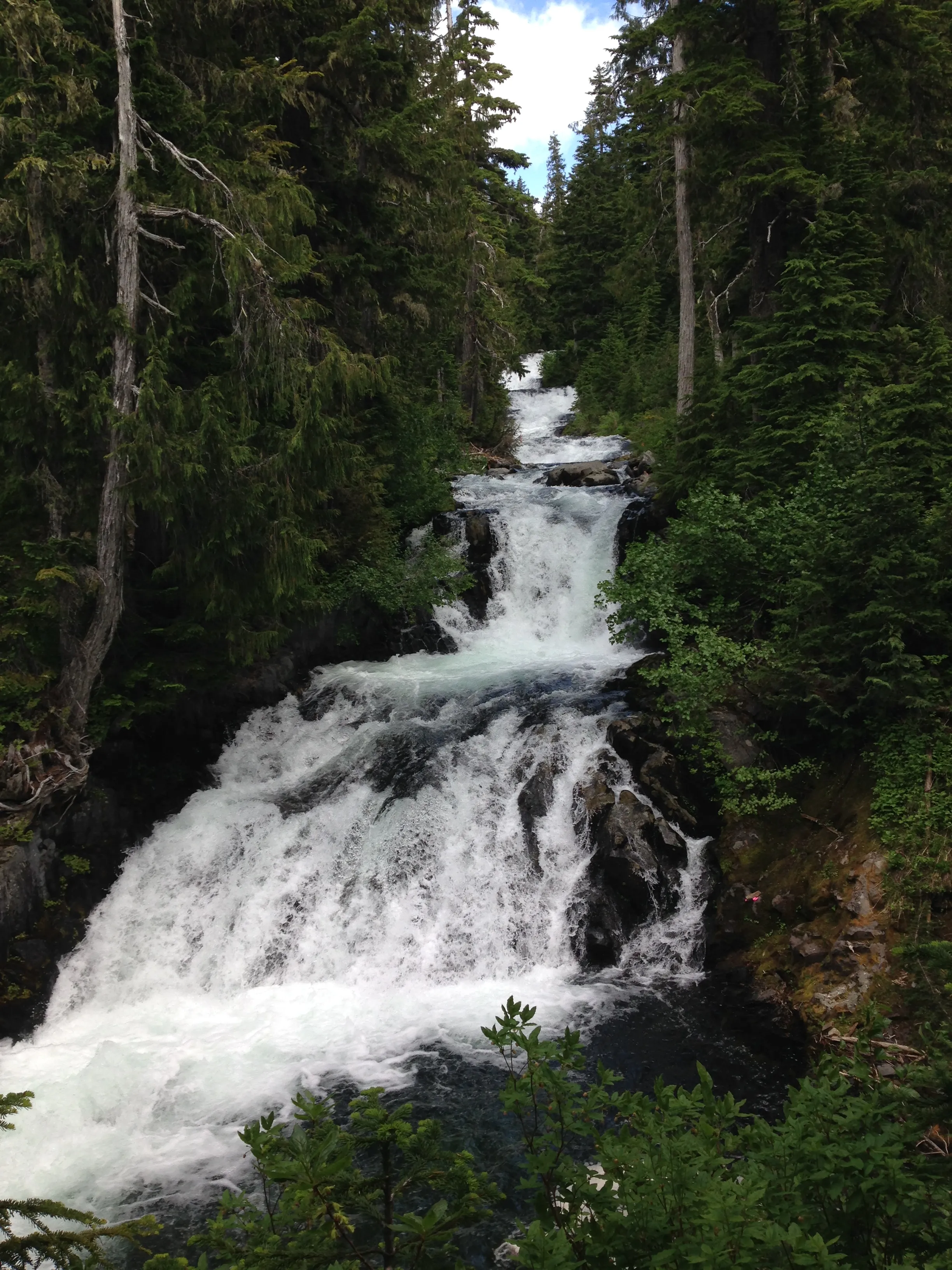 Narada Falls and Reflection Lakes Loop