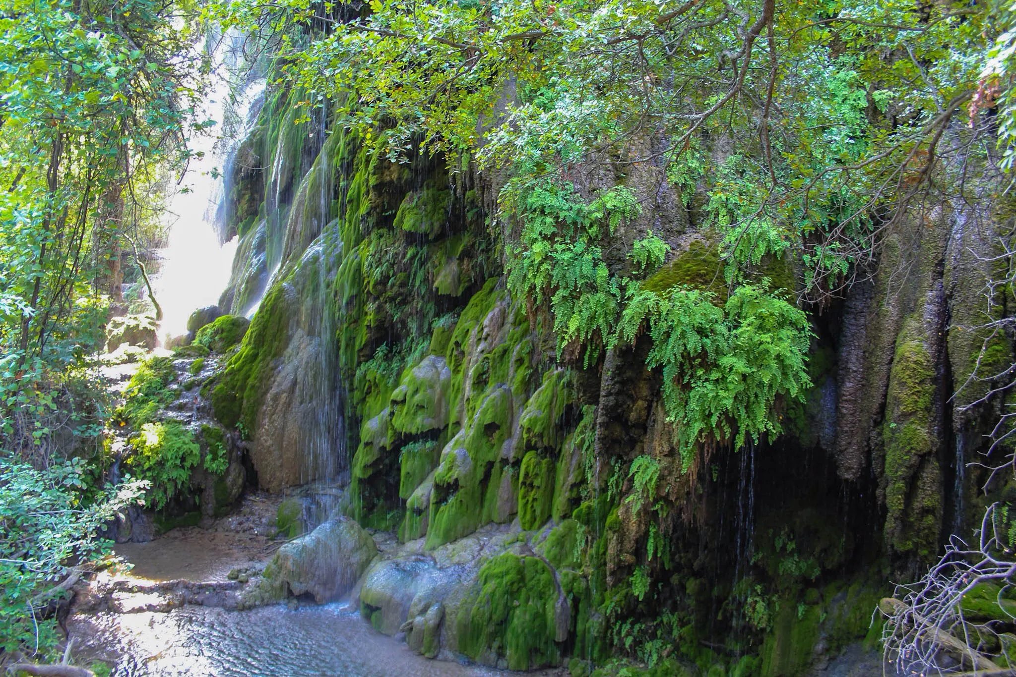 Gorman Falls