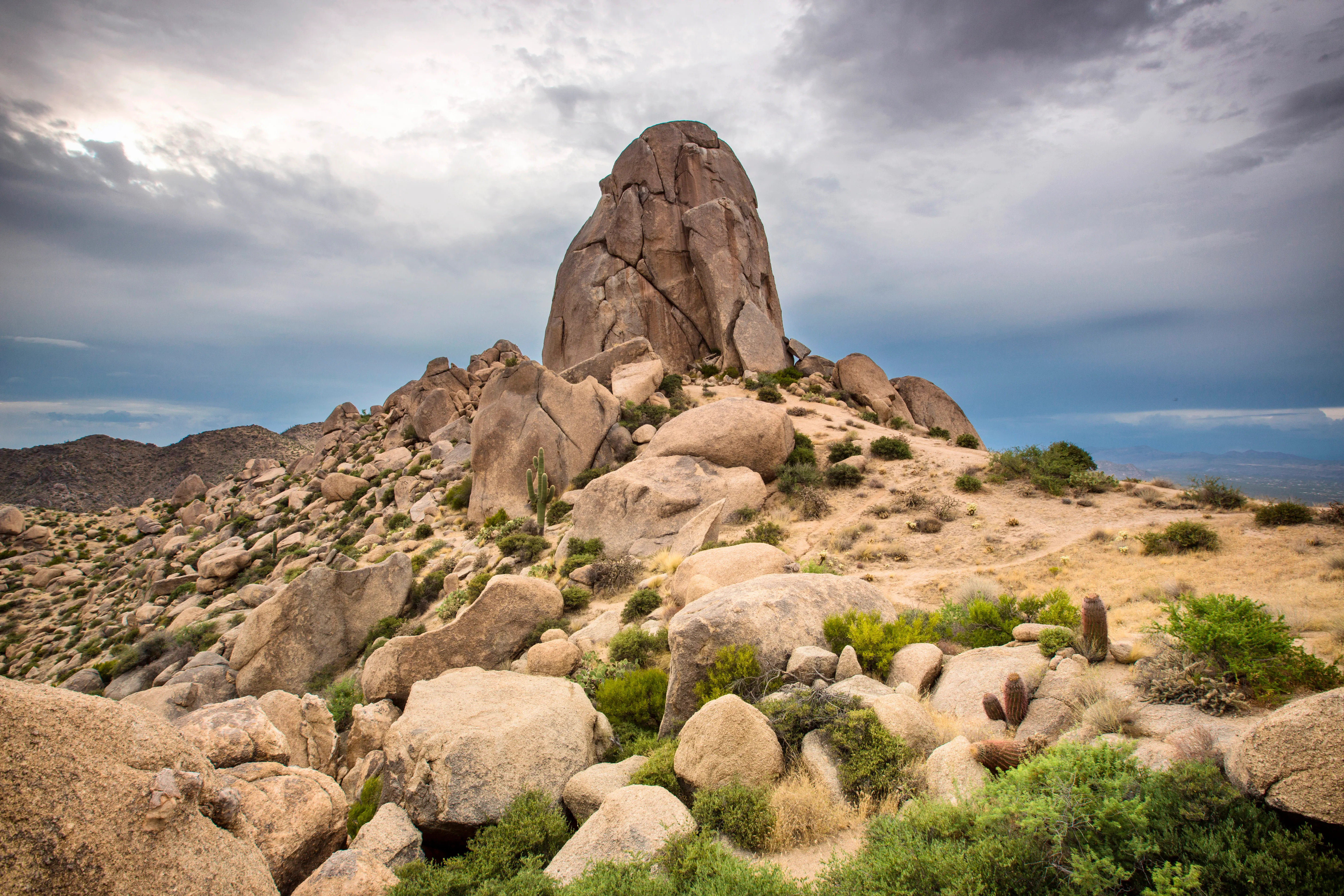 Tom's Thumb