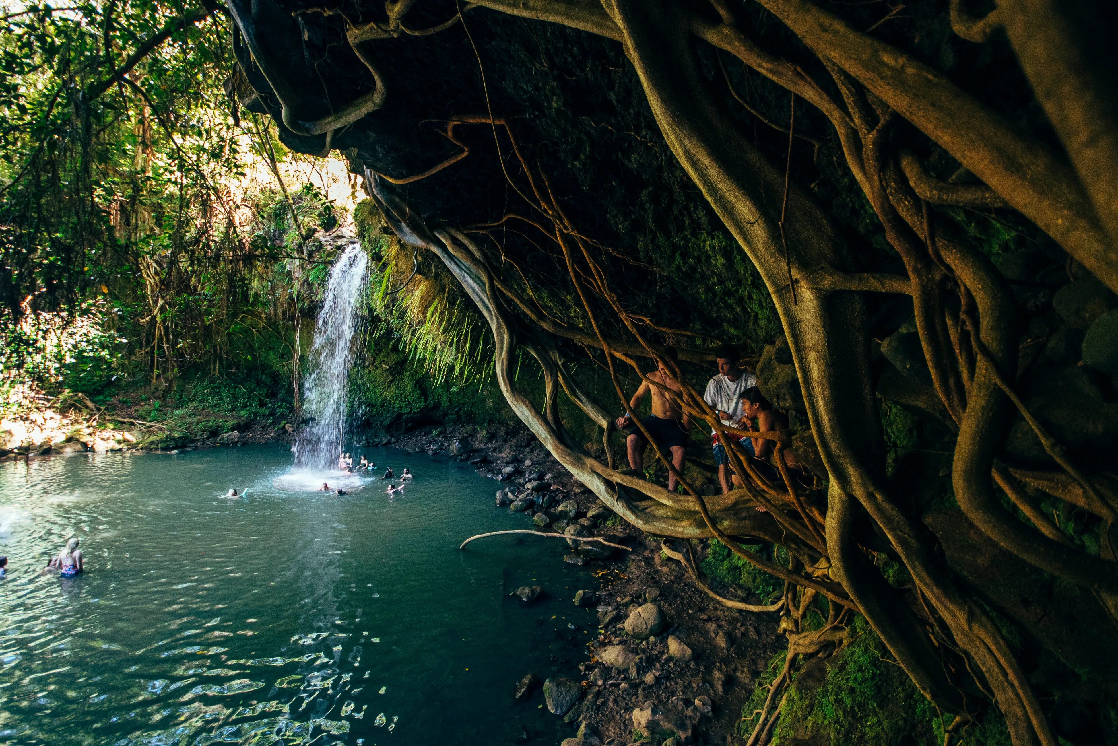 Hike & Swim Twin Falls, Maui