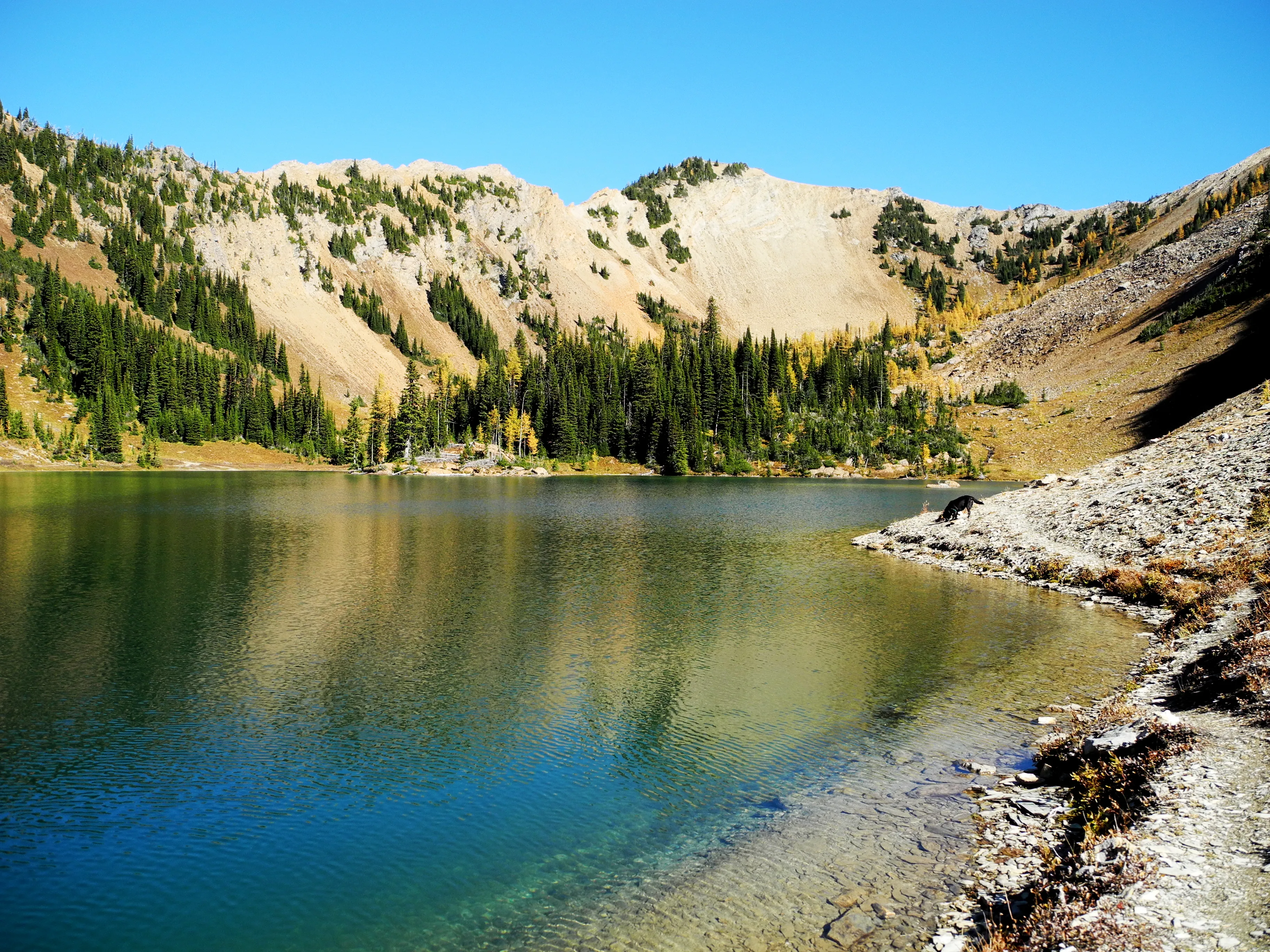 Bear Lake Trail