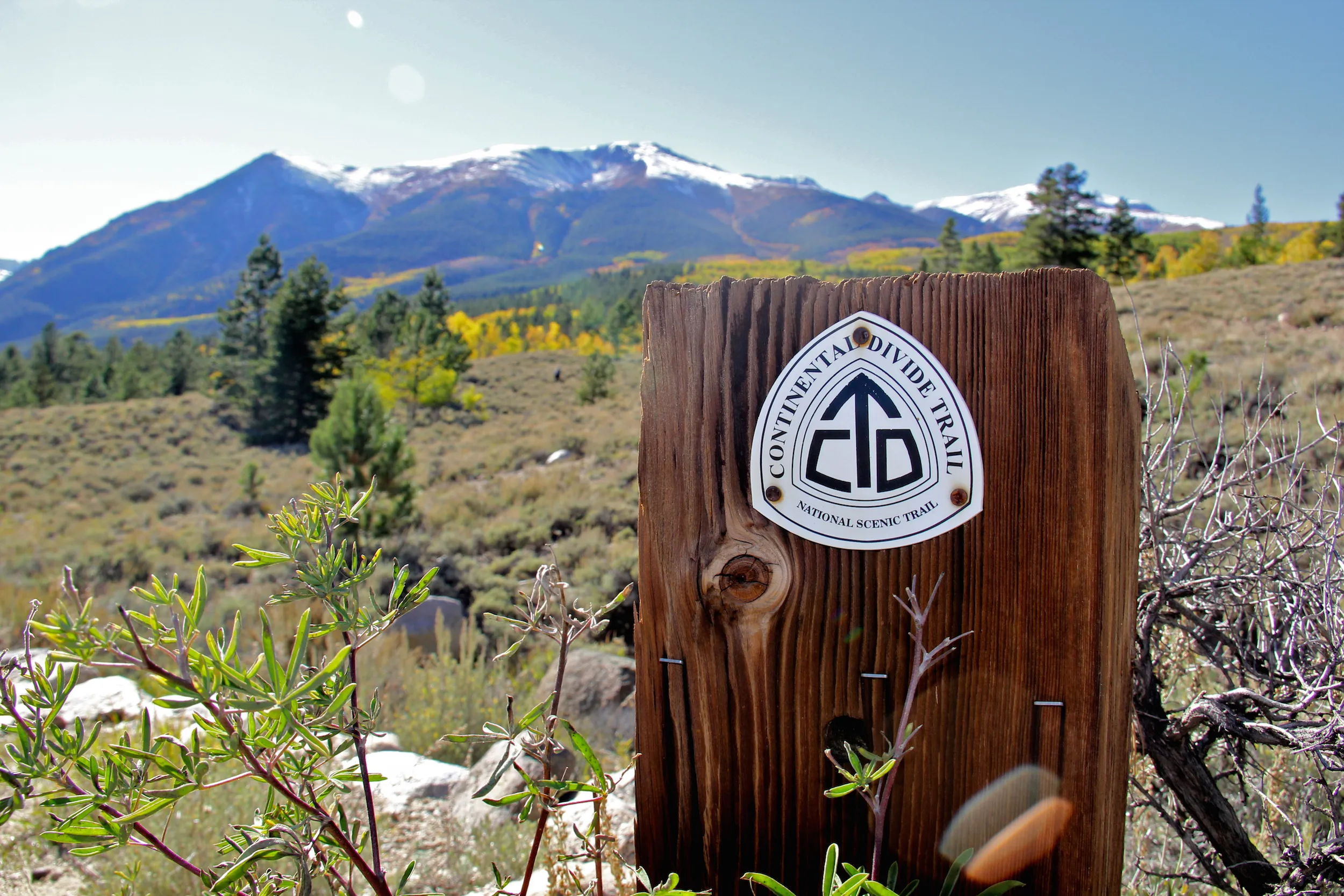 Mountain Bike the Colorado Trail near Mount Elbert