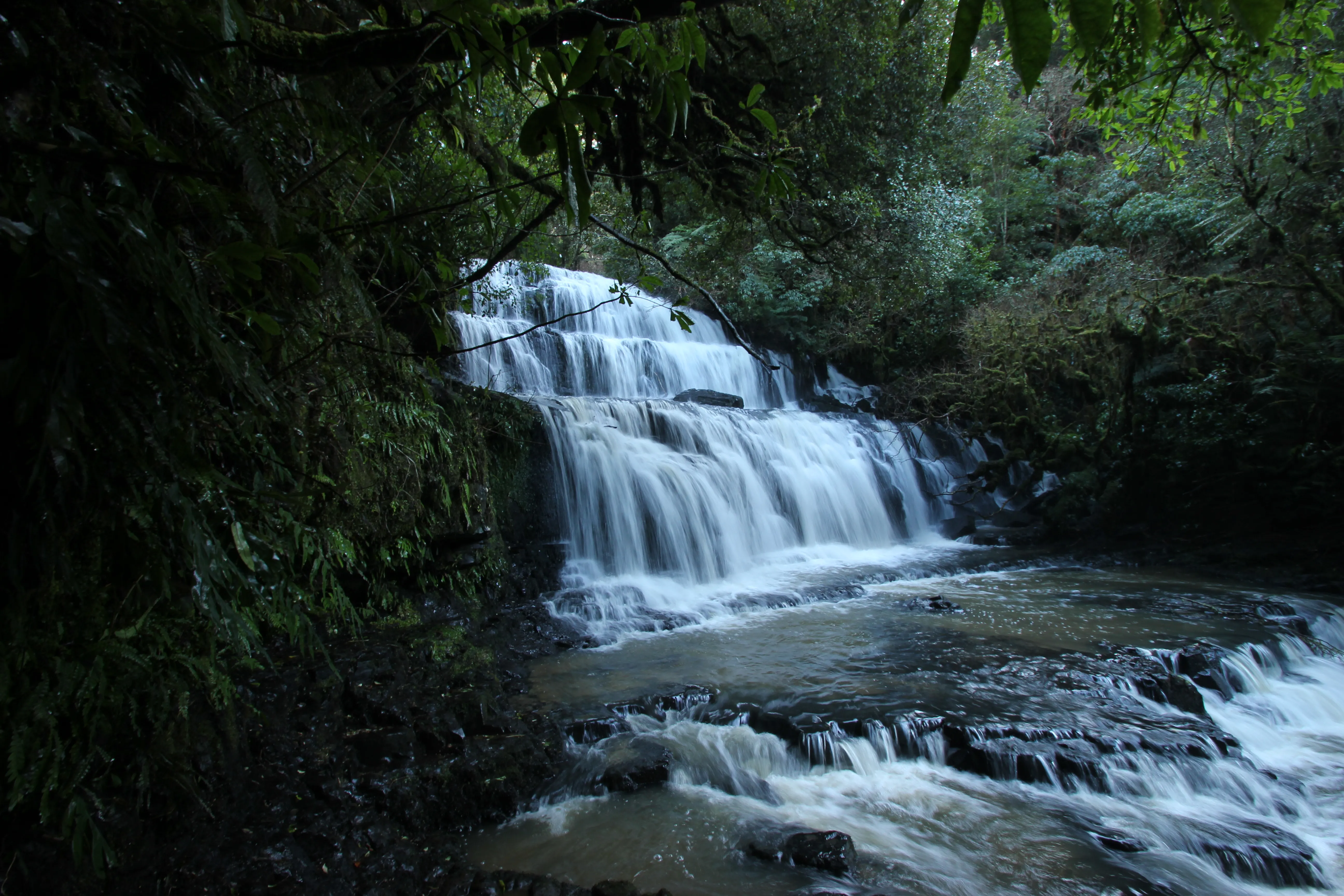 Short Walk to Purakaunui Falls 