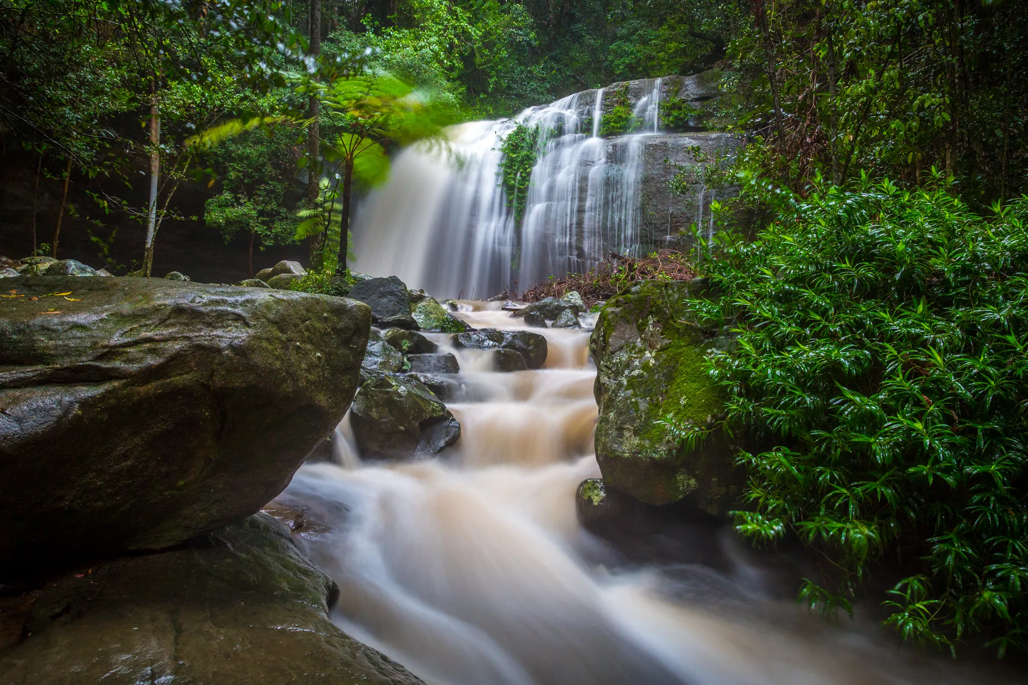 Explore Serenity Falls, Buderim