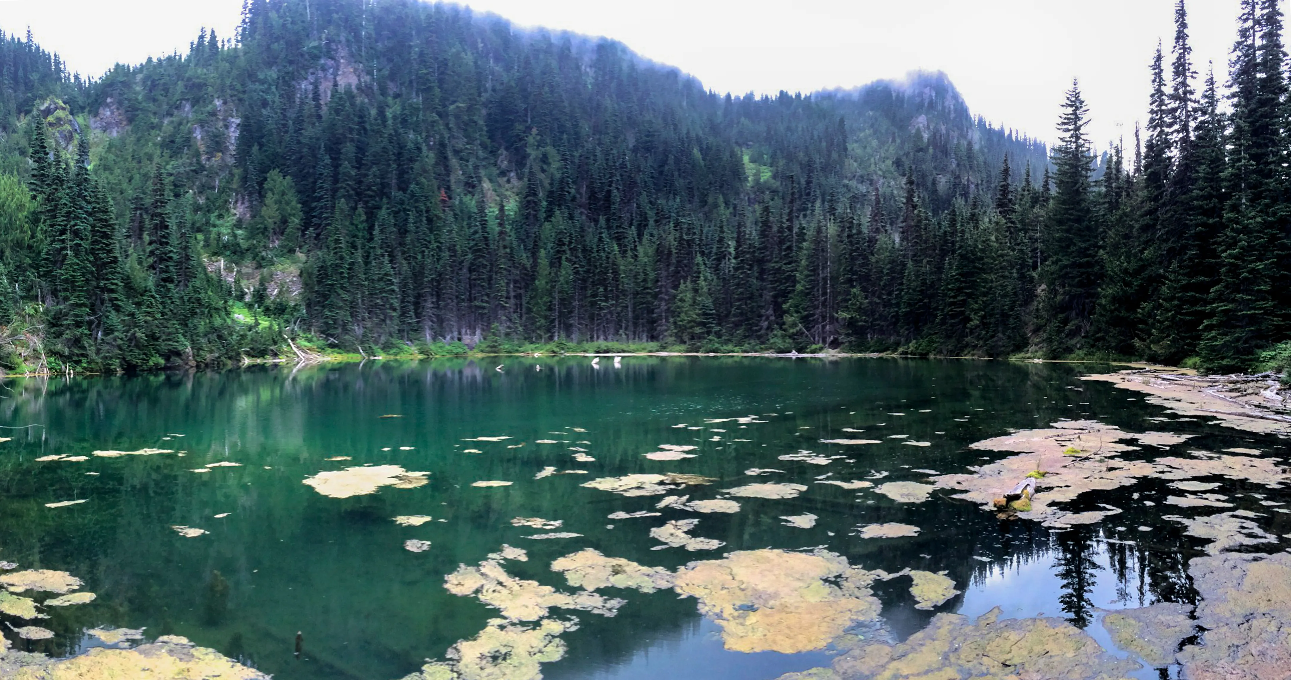 Hike to PJ Lake, Olympic National Park 