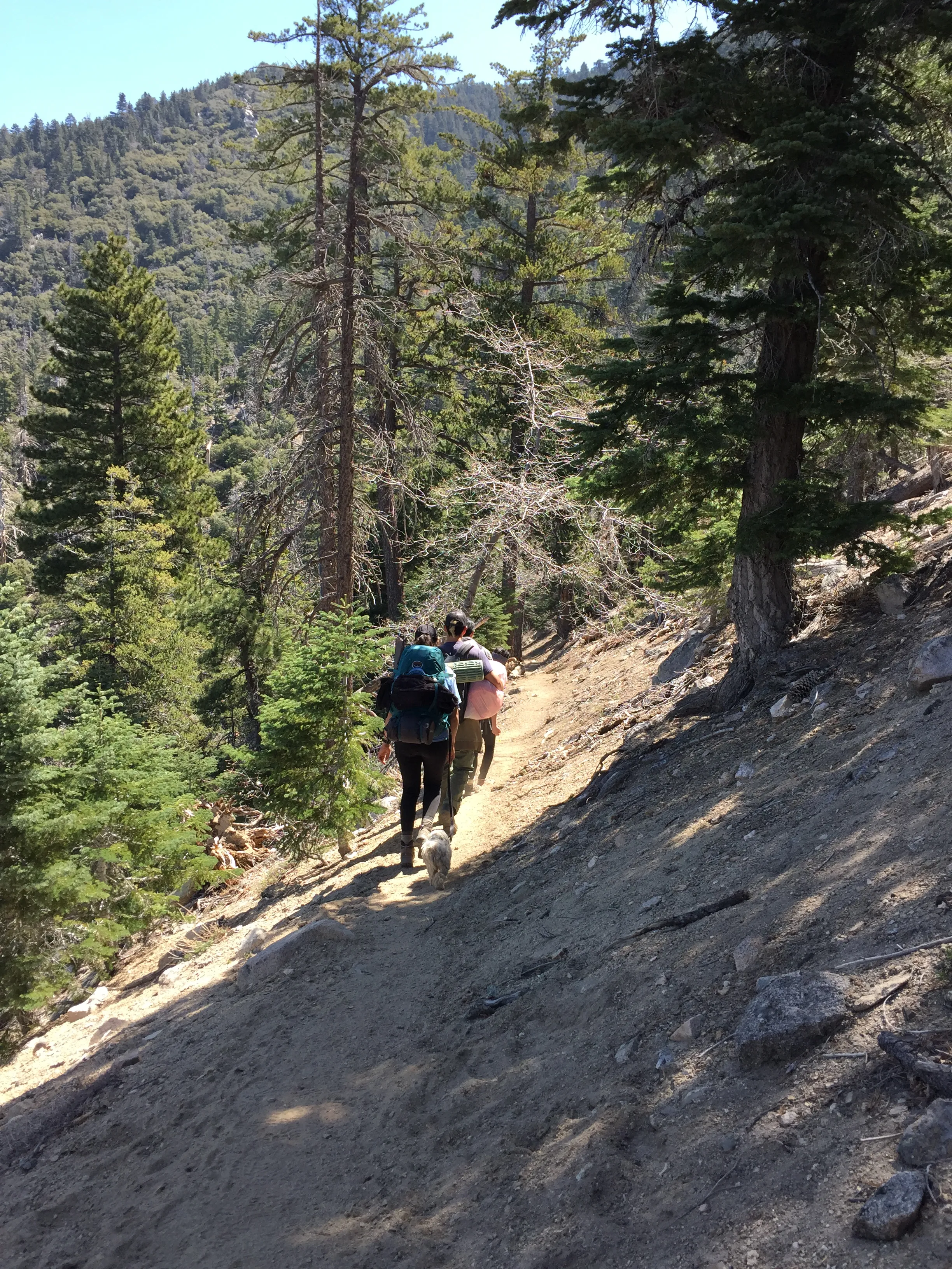 San Bernardino Peak