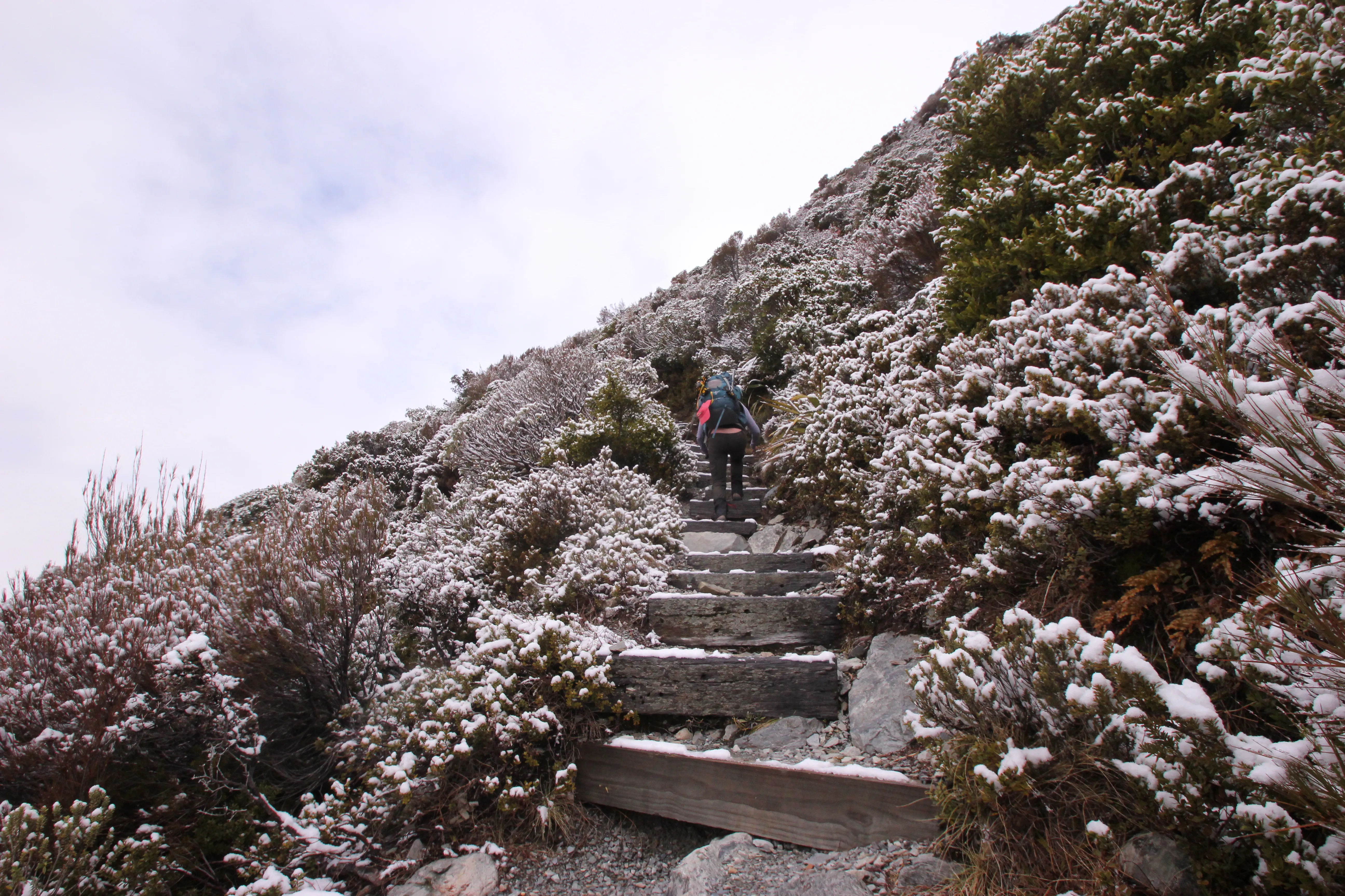 Hike to Sealy Tarns 