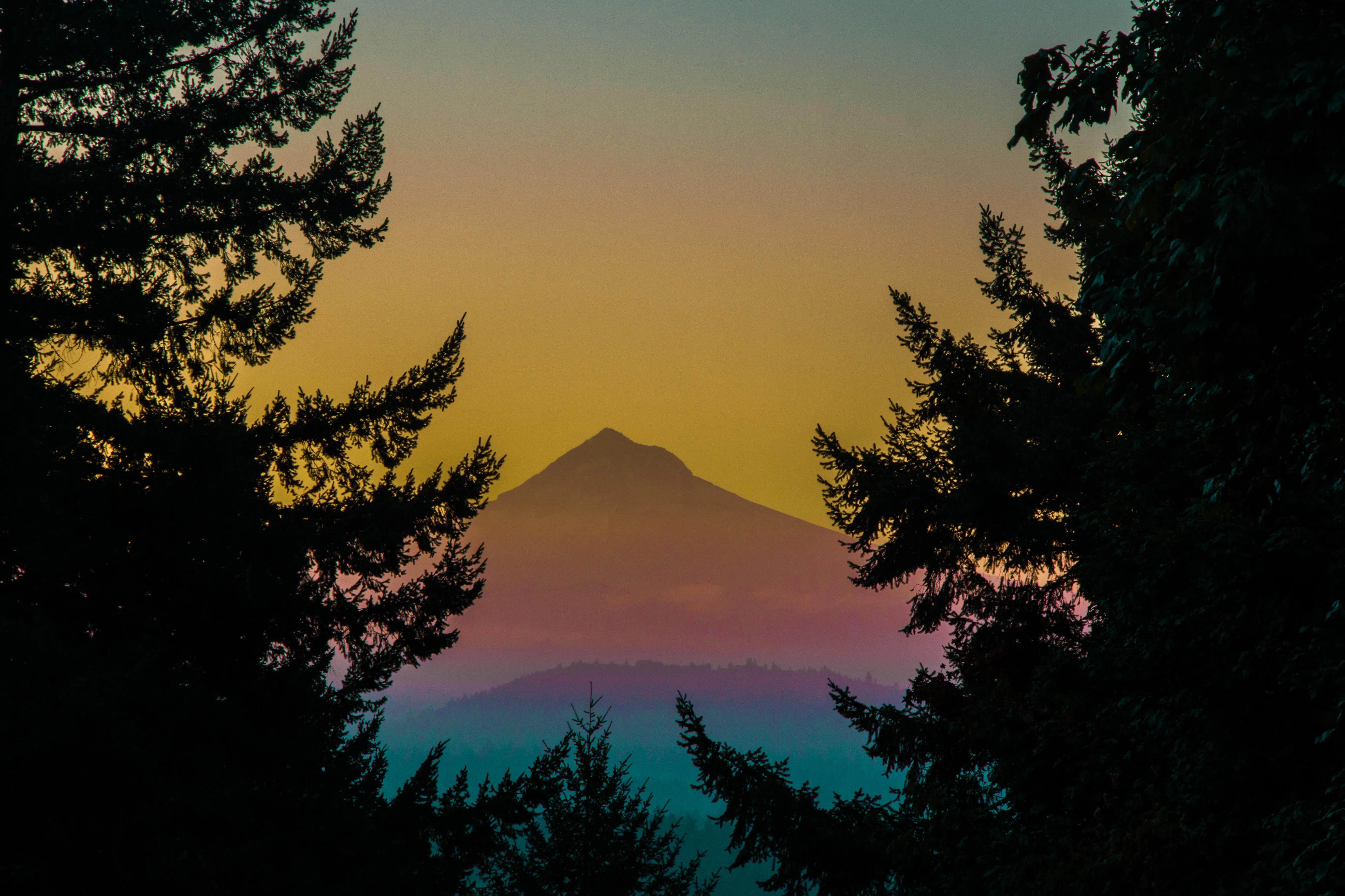 Mount Tabor Loop