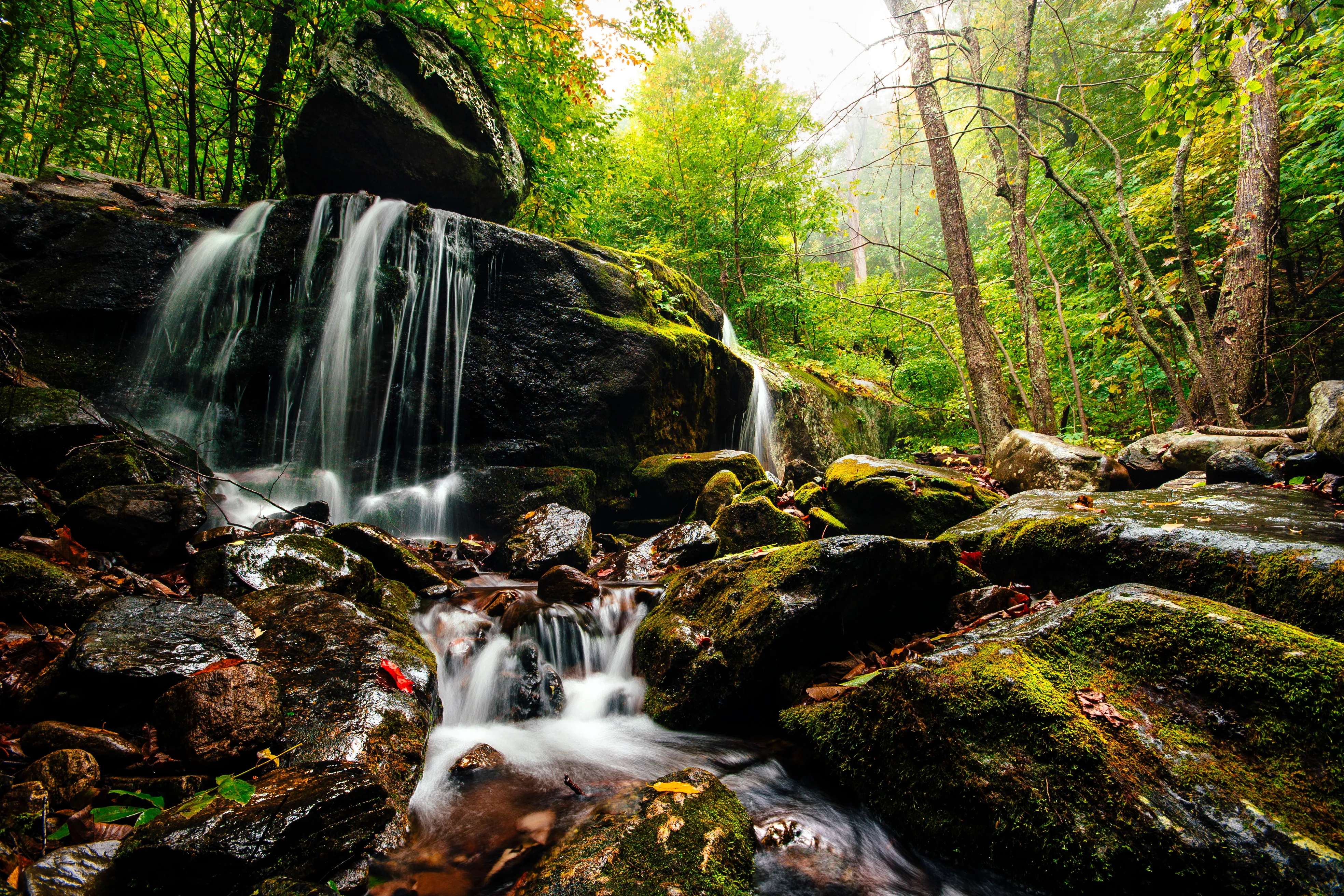 Hike to Apple Orchard Falls