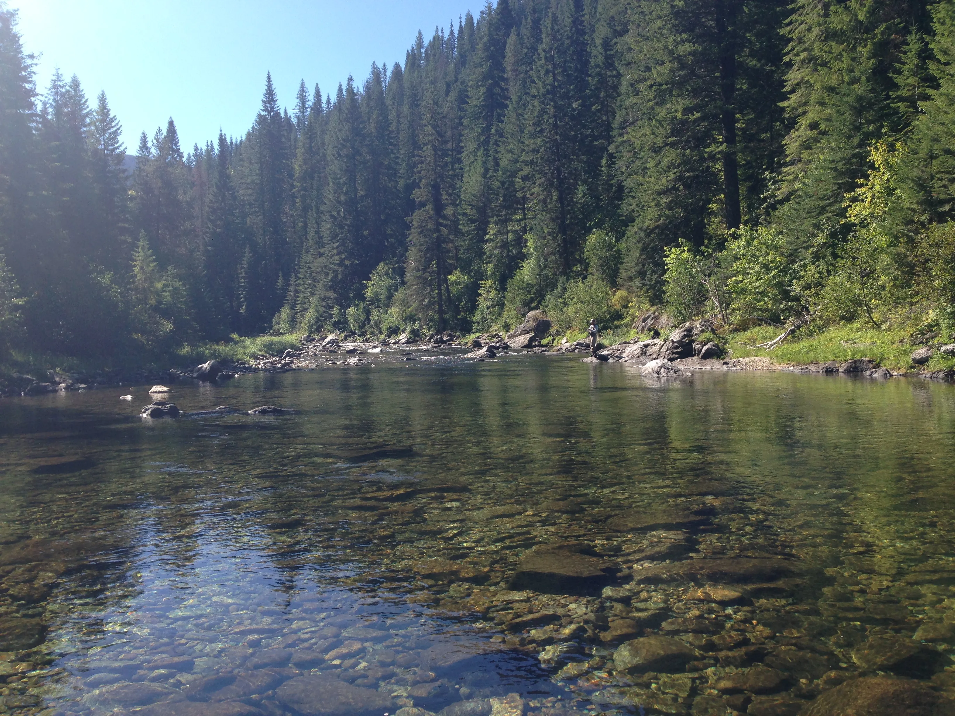 Fly Fish Kelly Creek