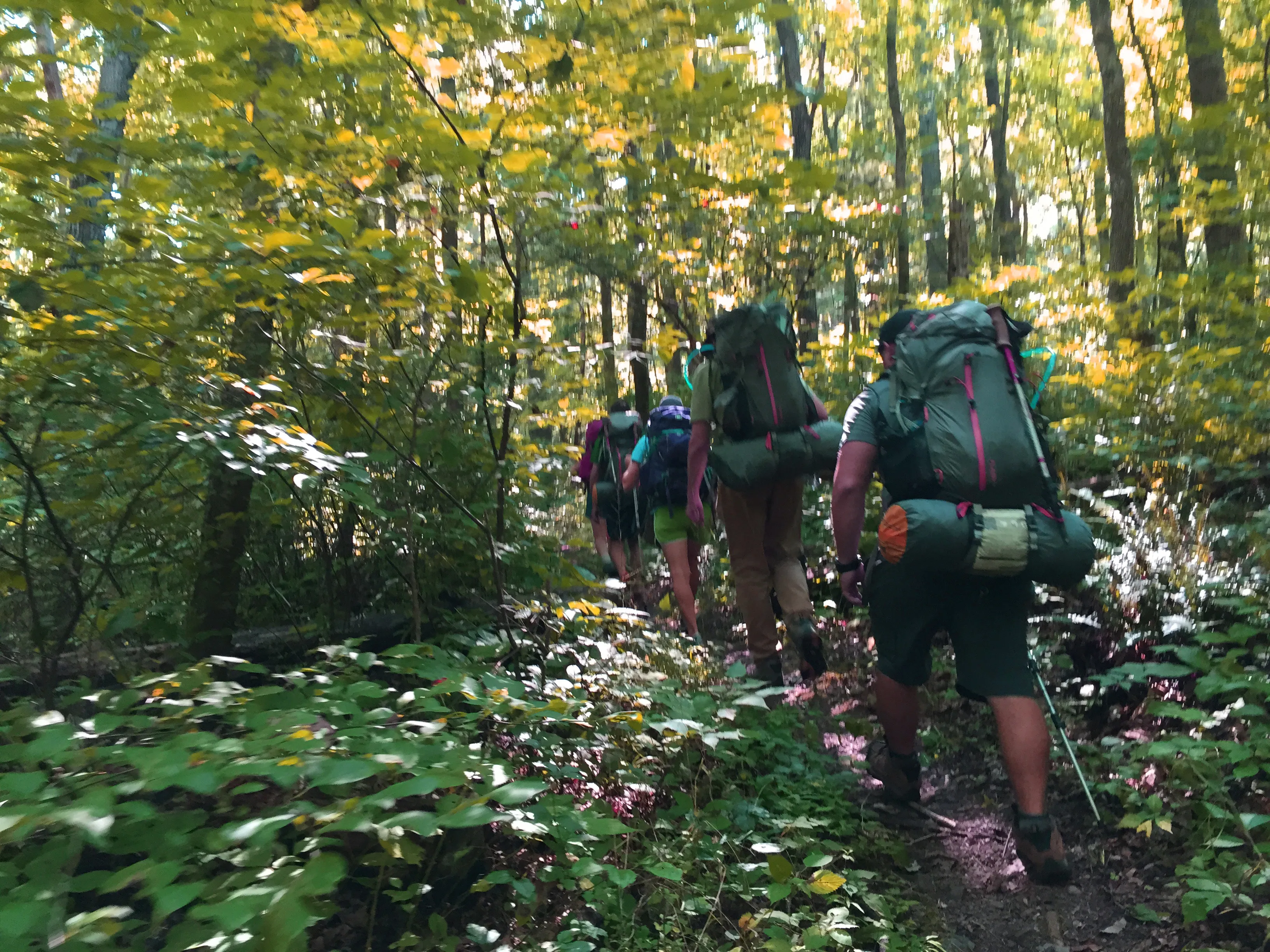 Backpack Jeremy's Run Trail, Shenandoah NP