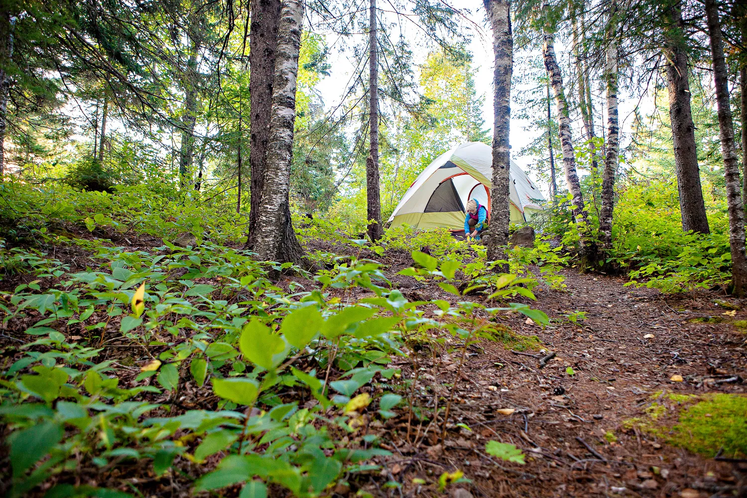 Camp at George H. Manitou Crosby State Park