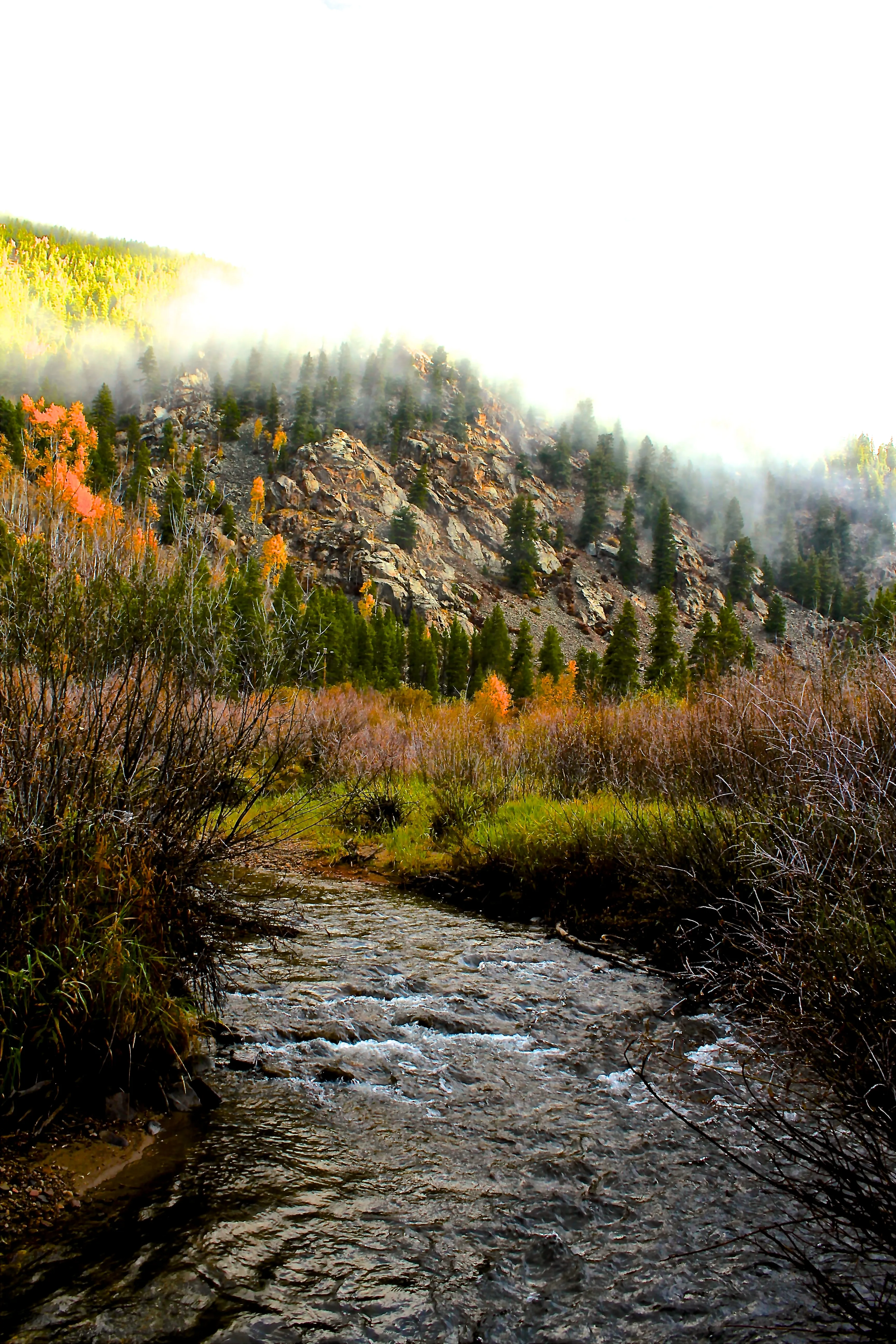 Roosevelt Mine