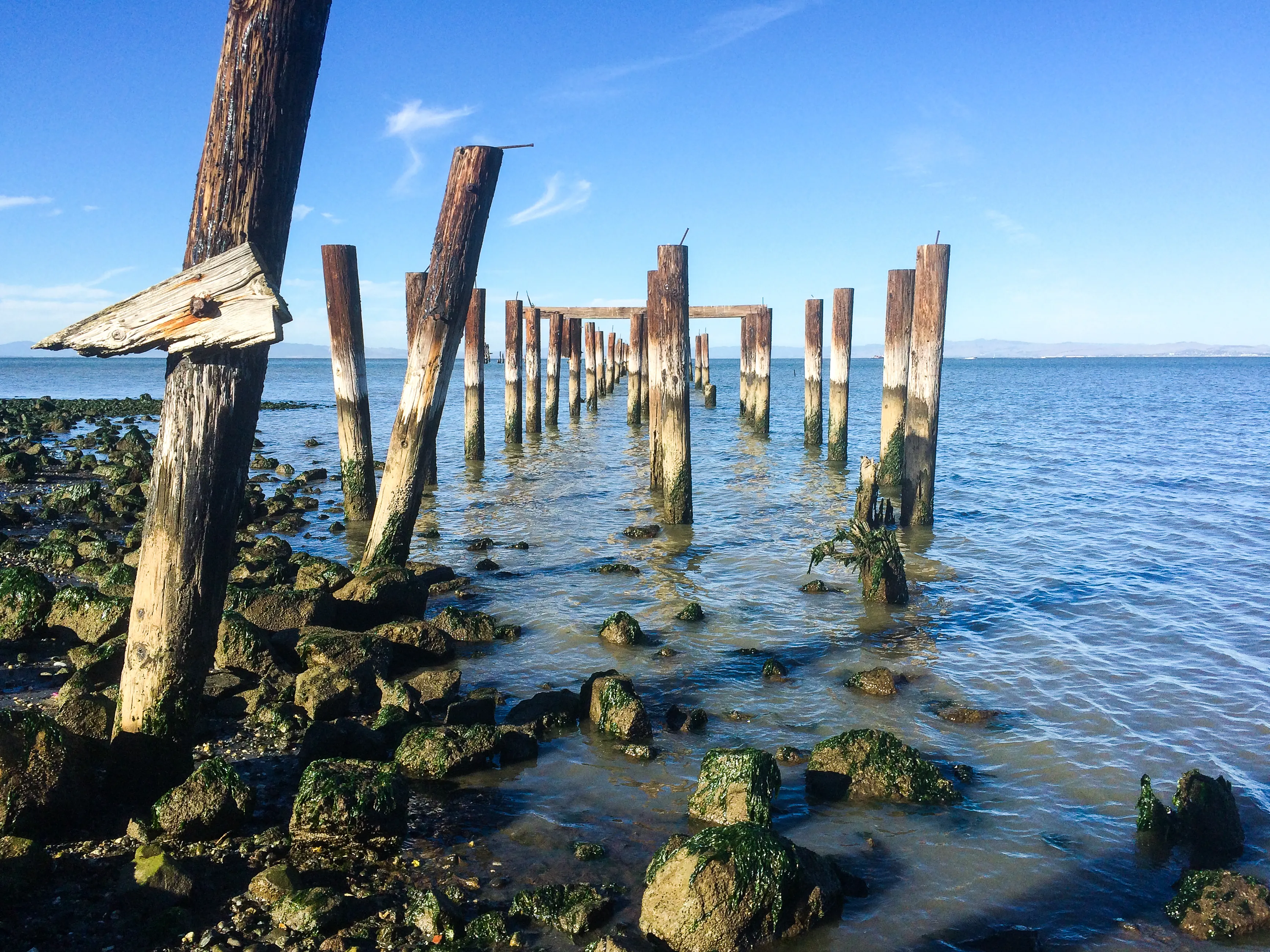 Explore Point Pinole Shoreline