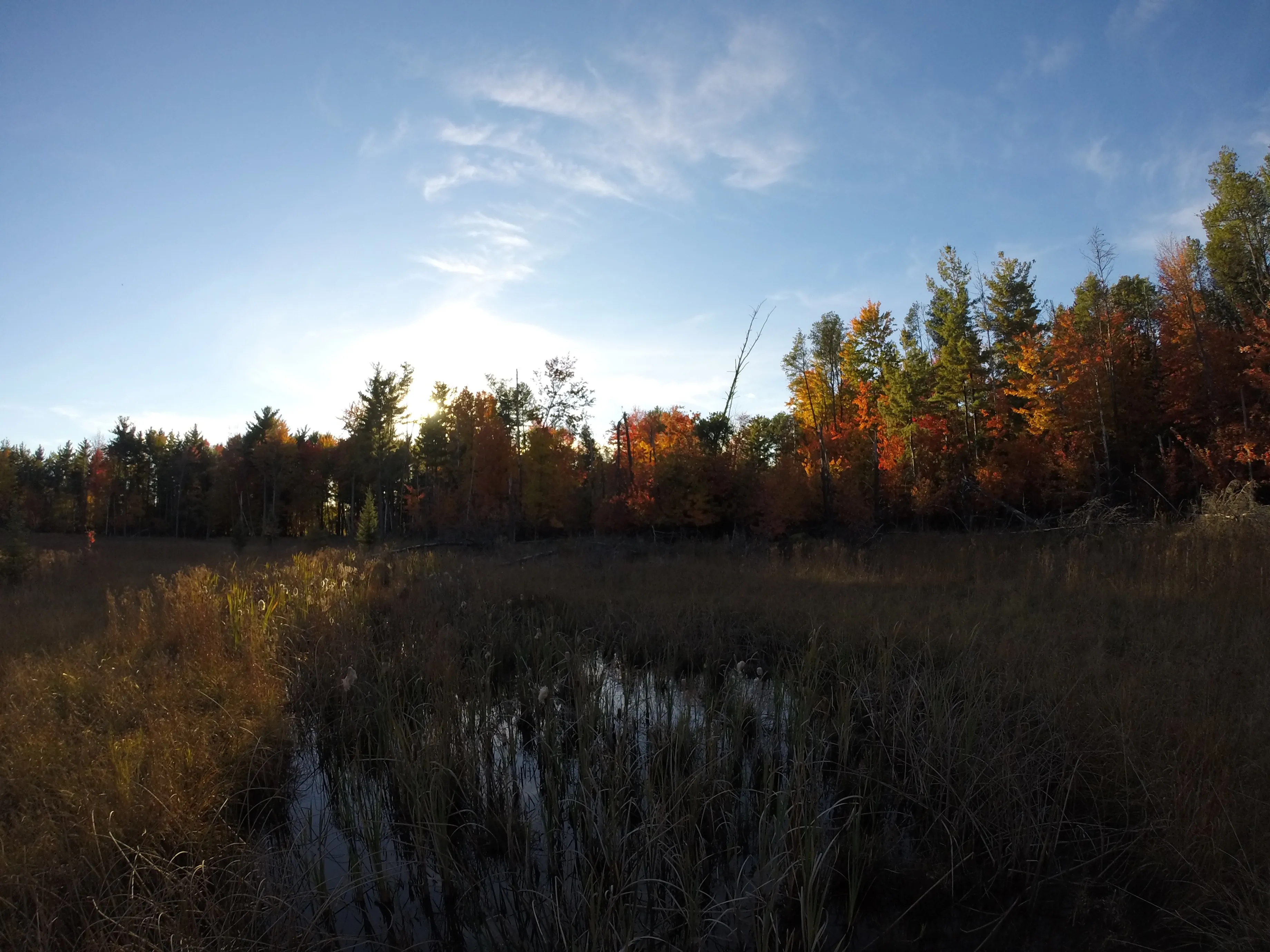 Hike to Moses Creek in Schmeeckle Reserve