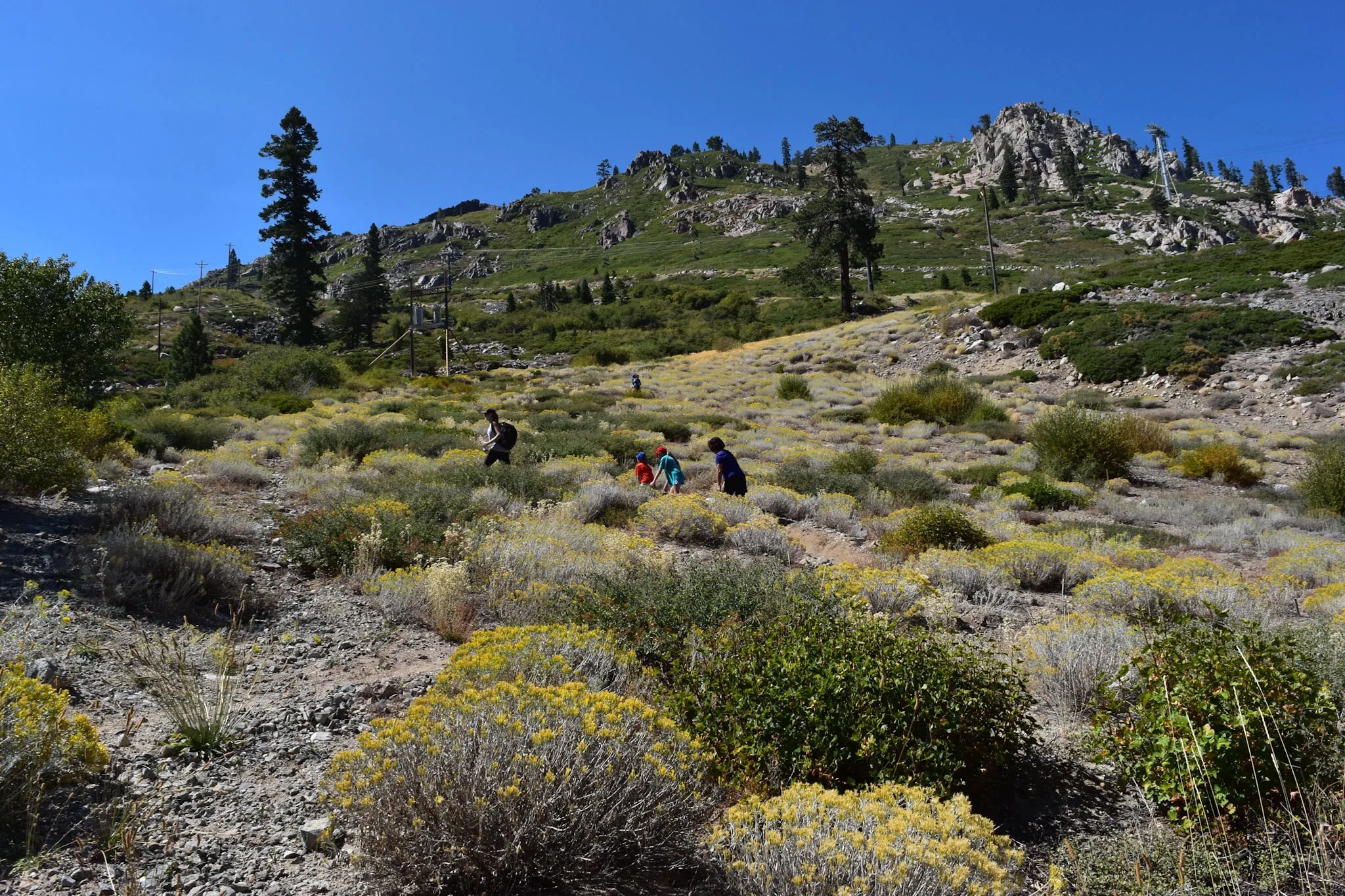 Thunder Mountain Trail
