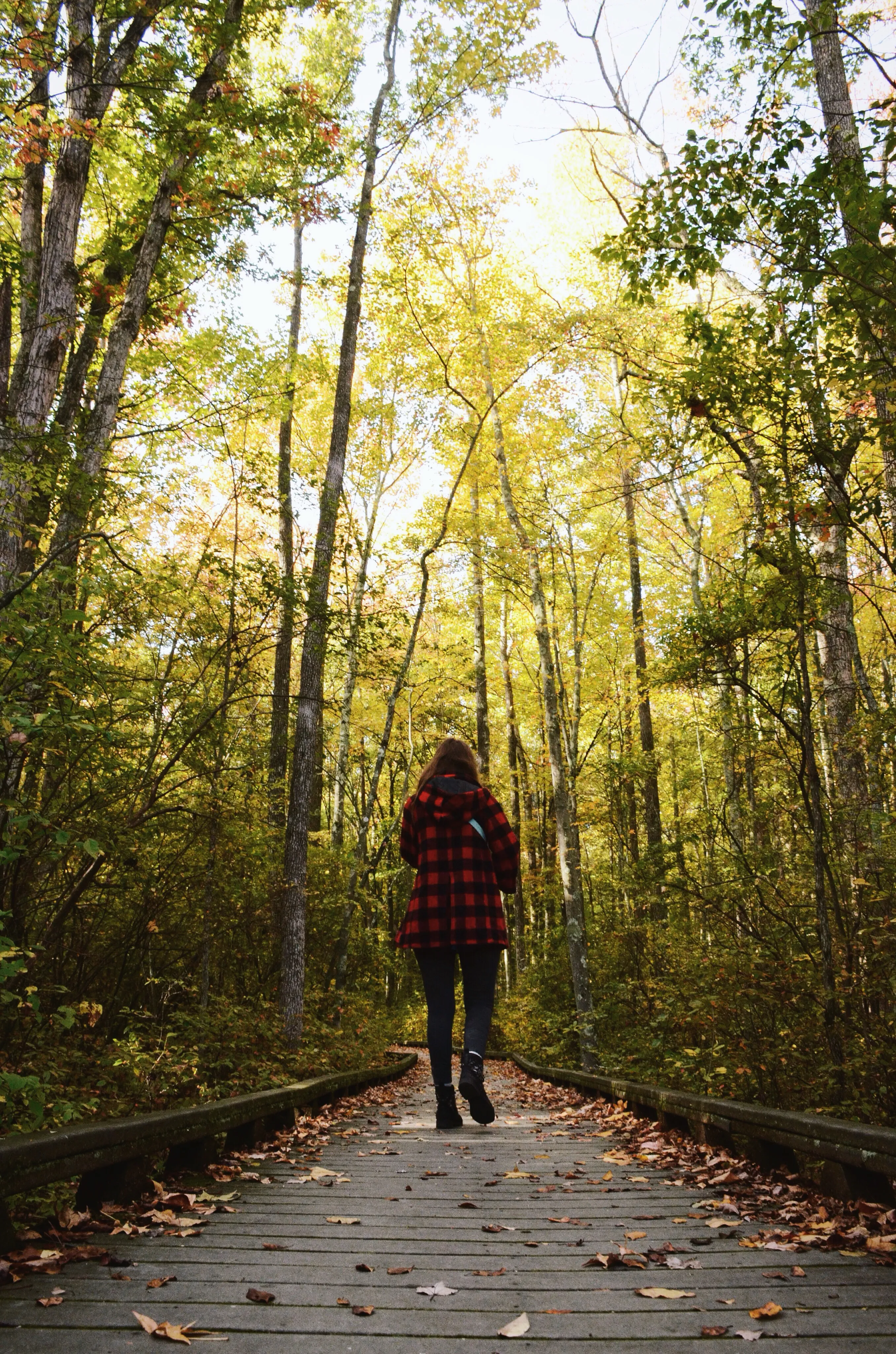 Great Swamp National Wildlife Refuge Loop