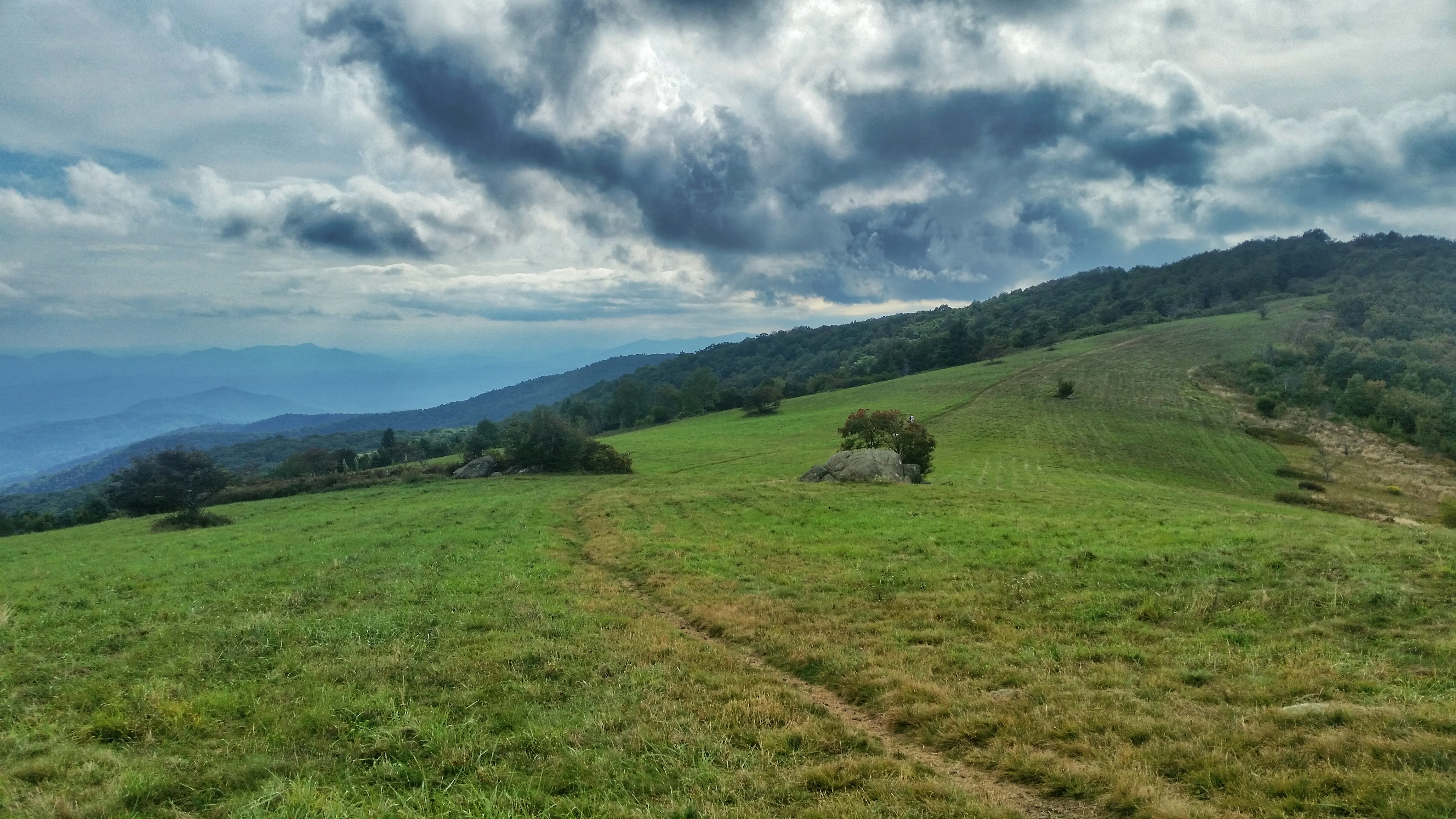 Cole Mountain Loop
