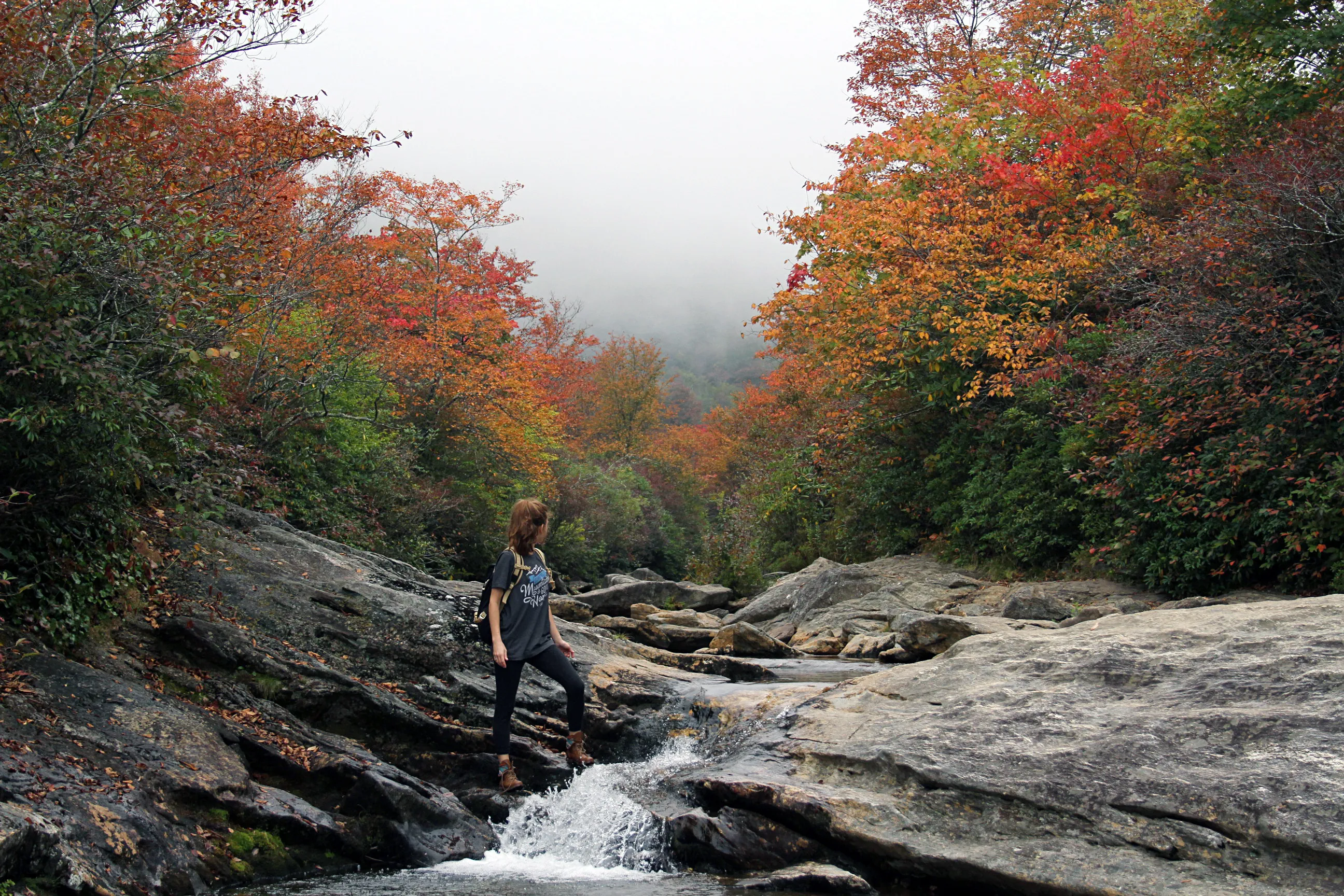 Lower Falls at Graveyard Fields