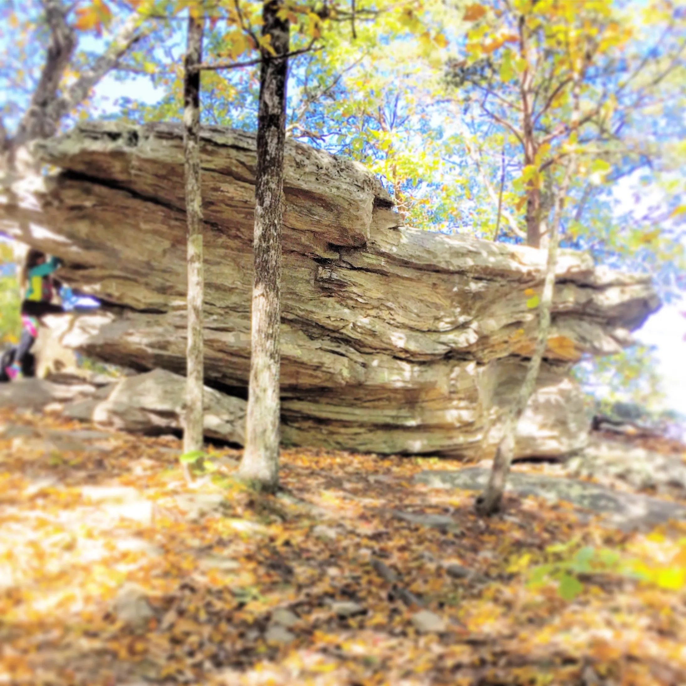 Hanging Rock and Cole Gap Mountain Loop