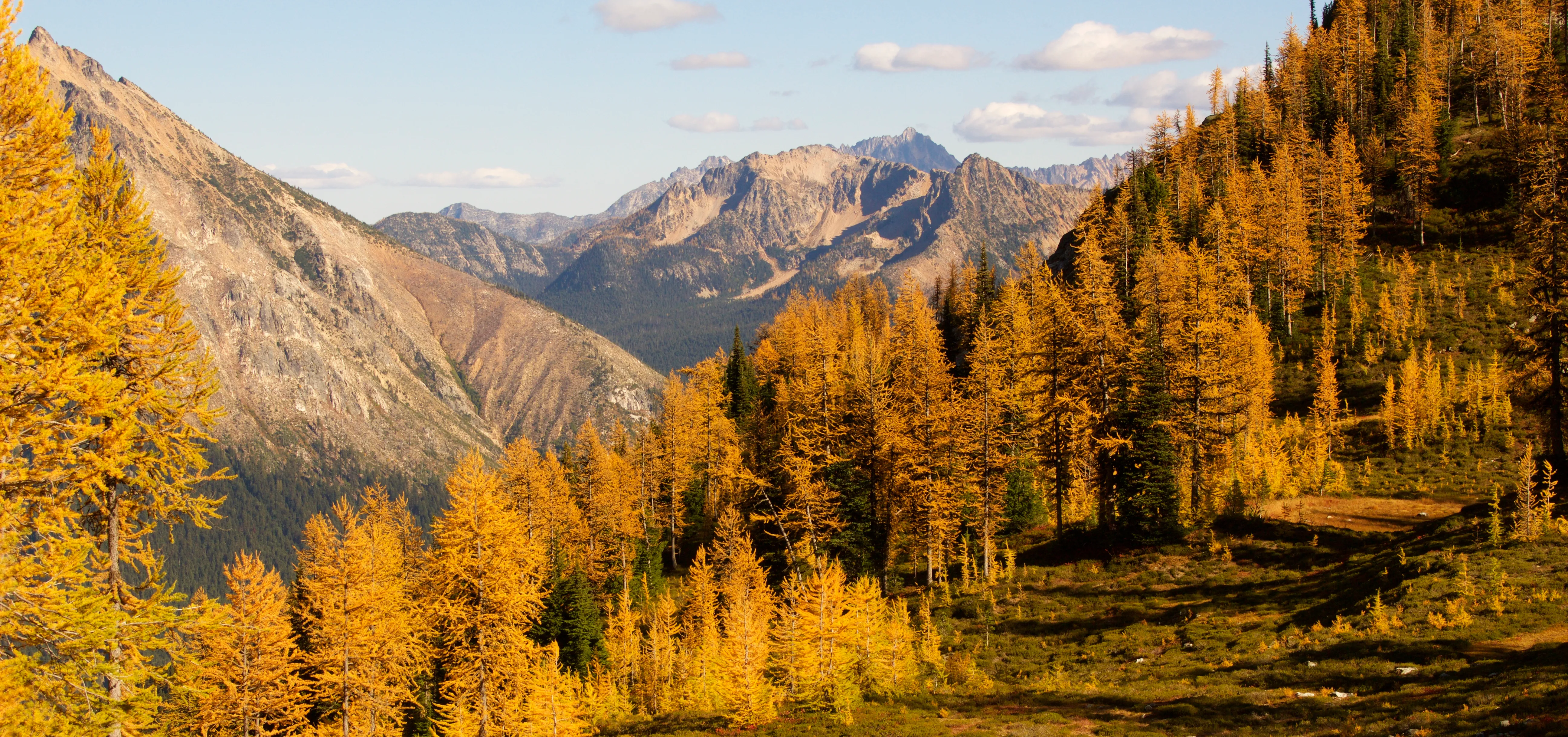 Hike to Easy Pass