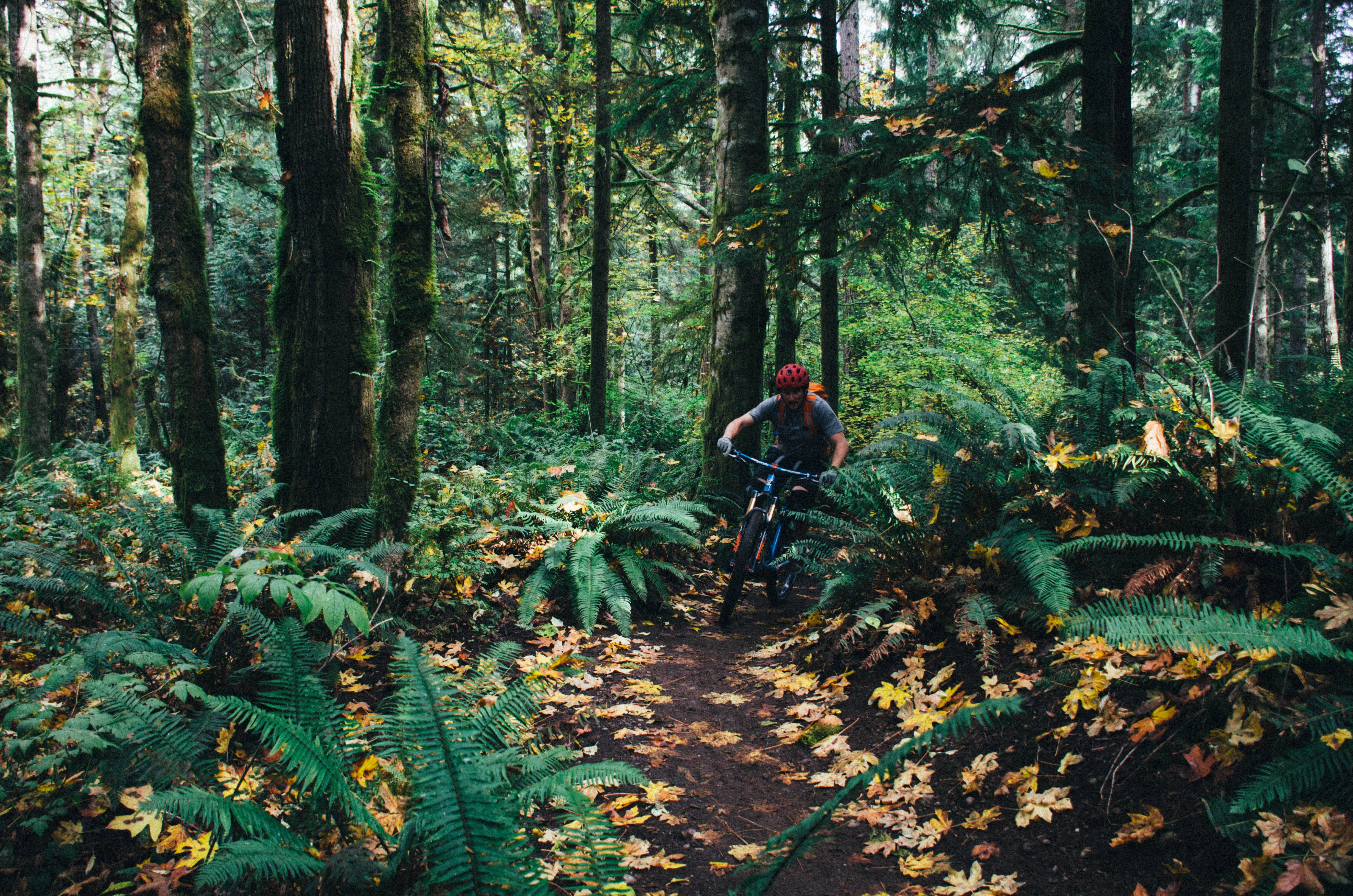 Duthie Hill Mountain Bike Park Loop