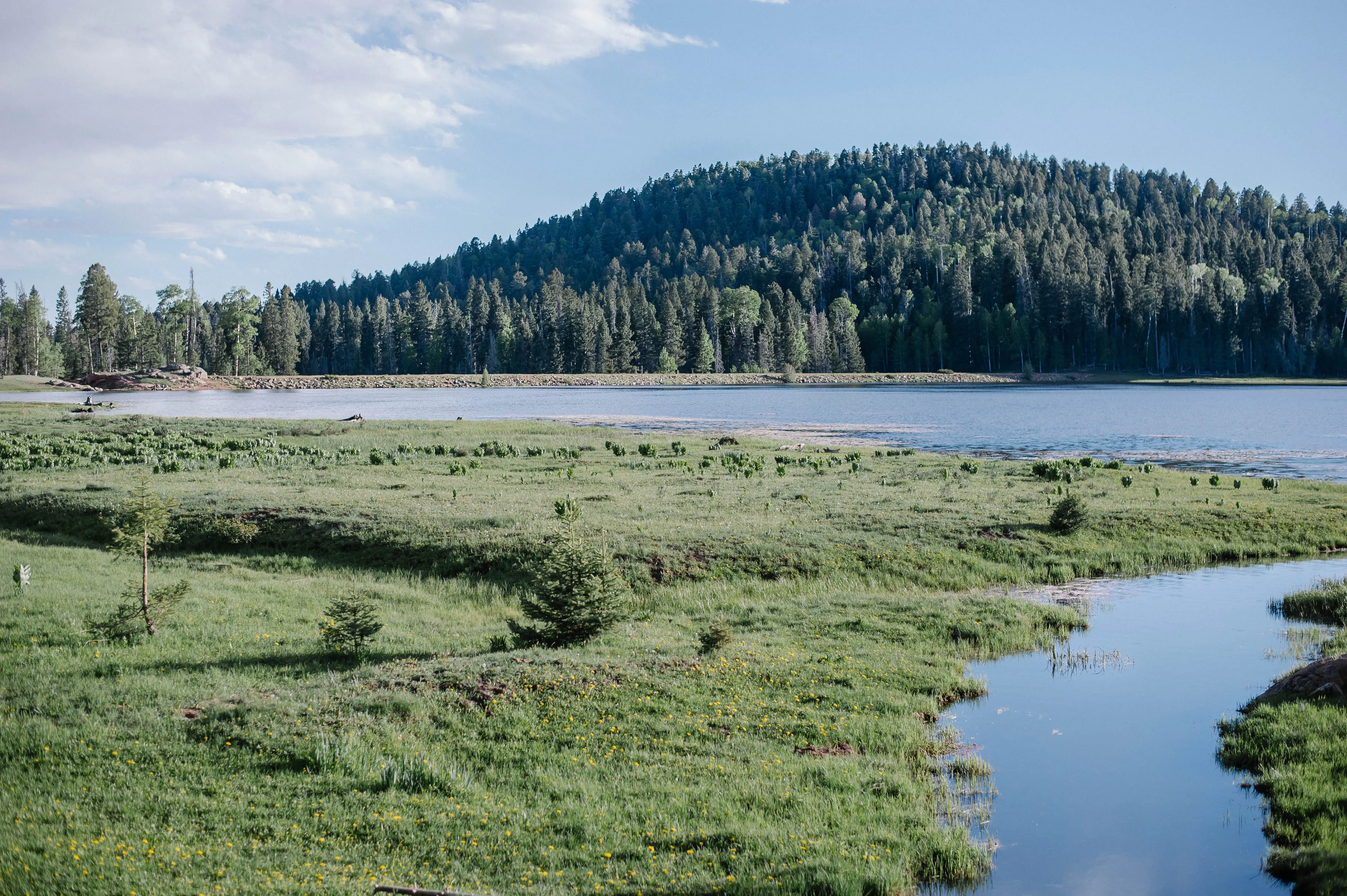 San Gregorio Reservoir