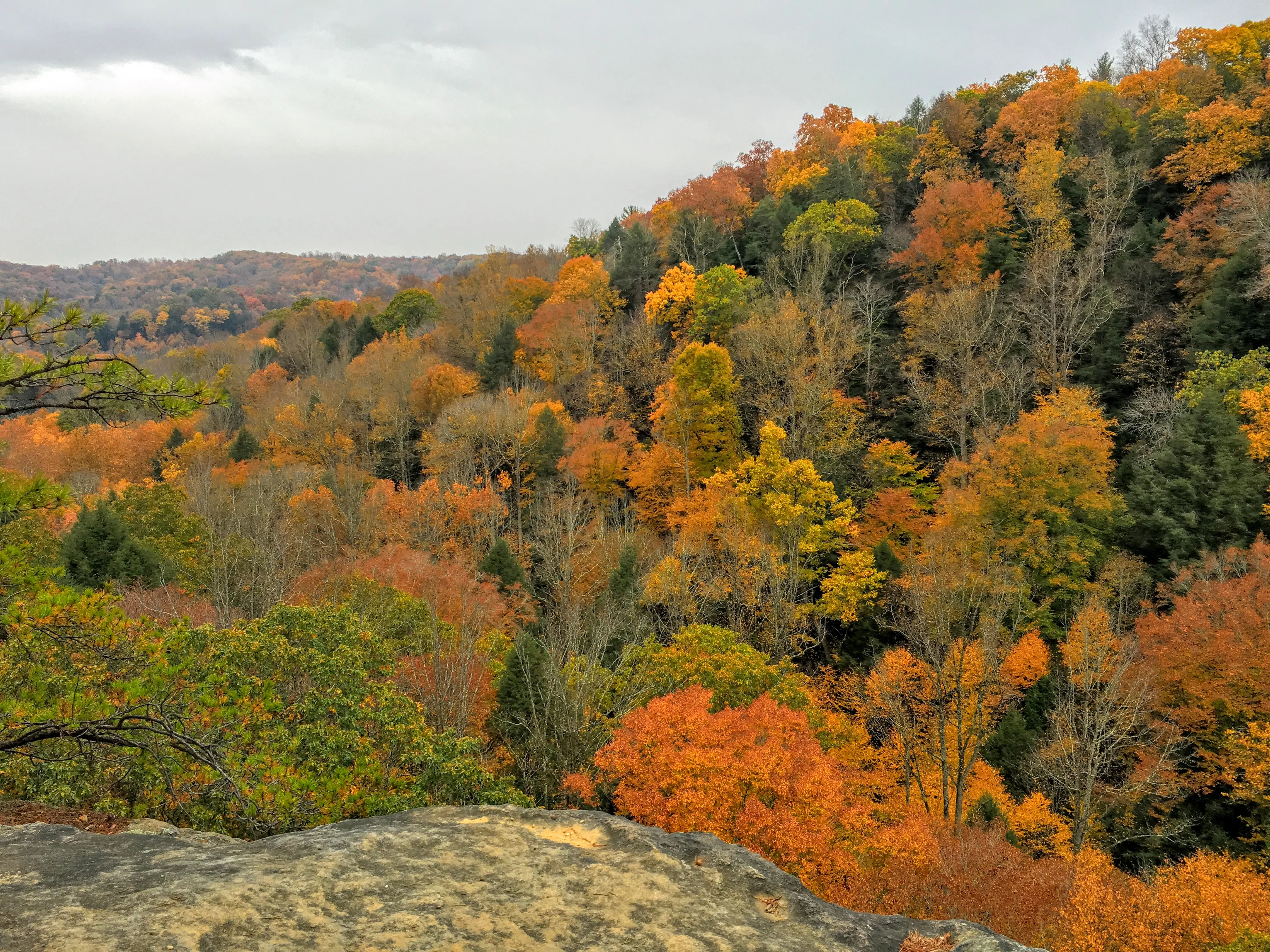 Conkle's Hollow Gorge and Rim Trail Loop