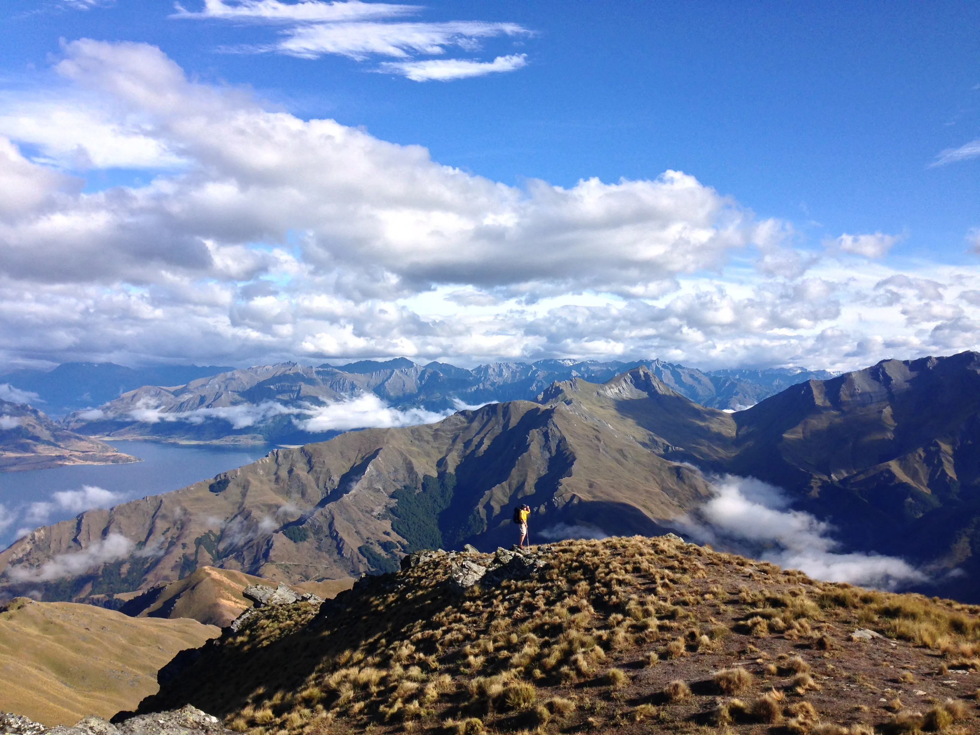 Hike the Breast Hill Track to Pakituhi Hut 